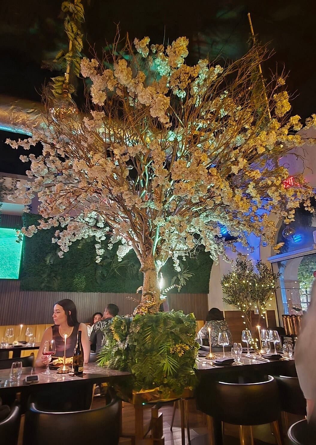 Interior view of 450Gradi Miami in Coral Gables