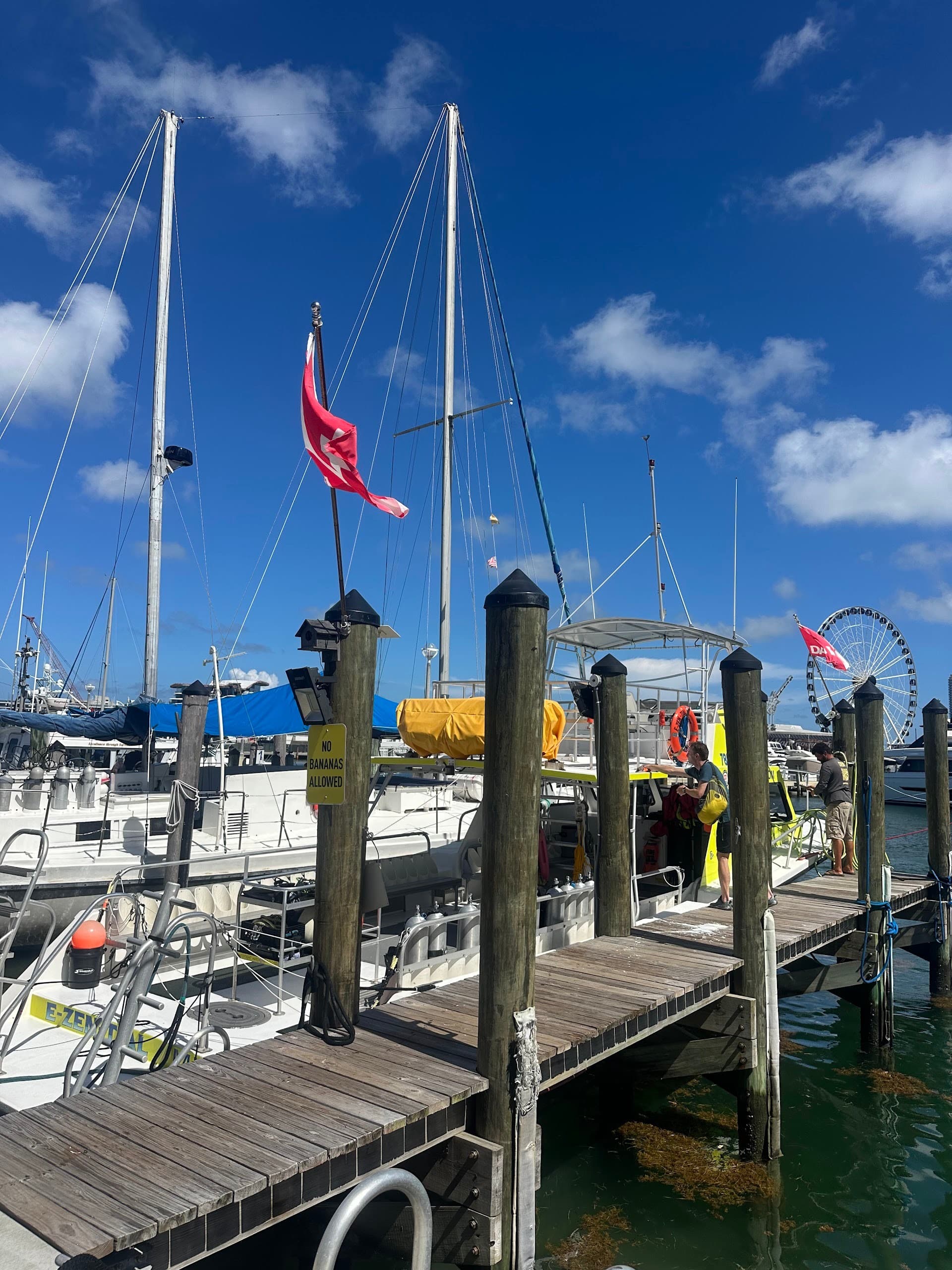 Ace Diving Miami at Slip 33 with boats