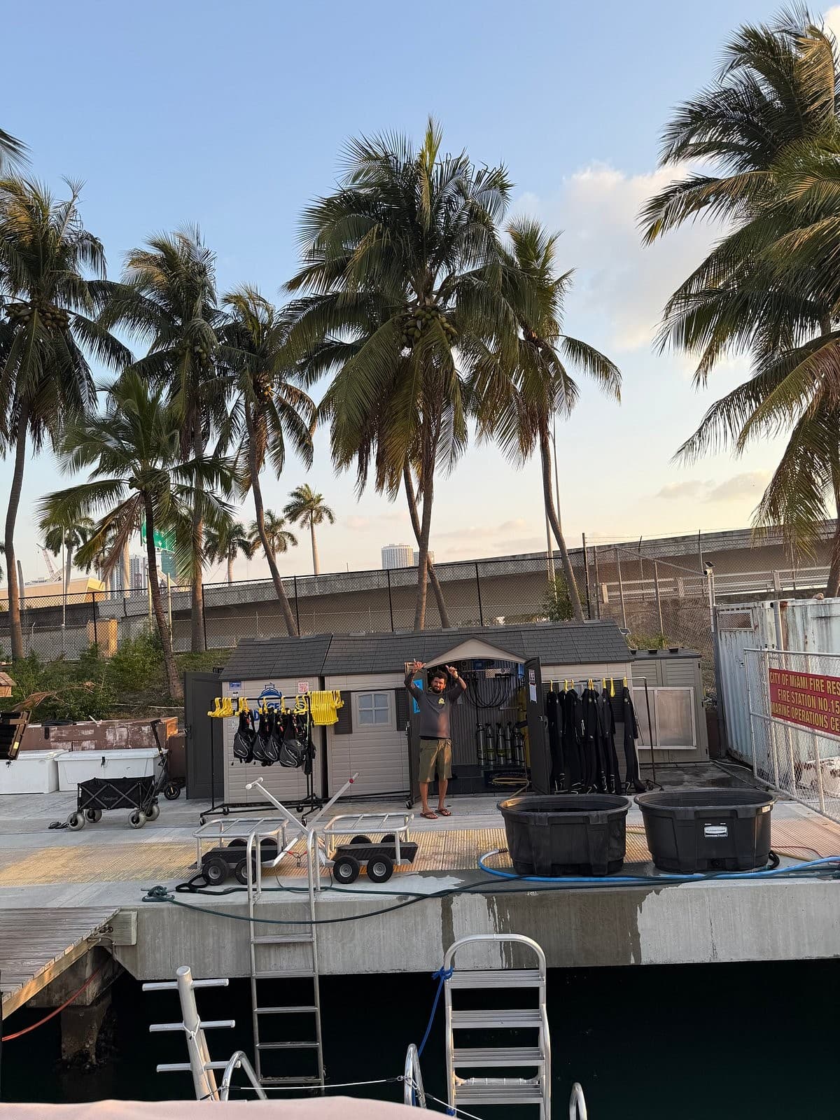 Ace Diving Miami at Slip 33 with palm trees