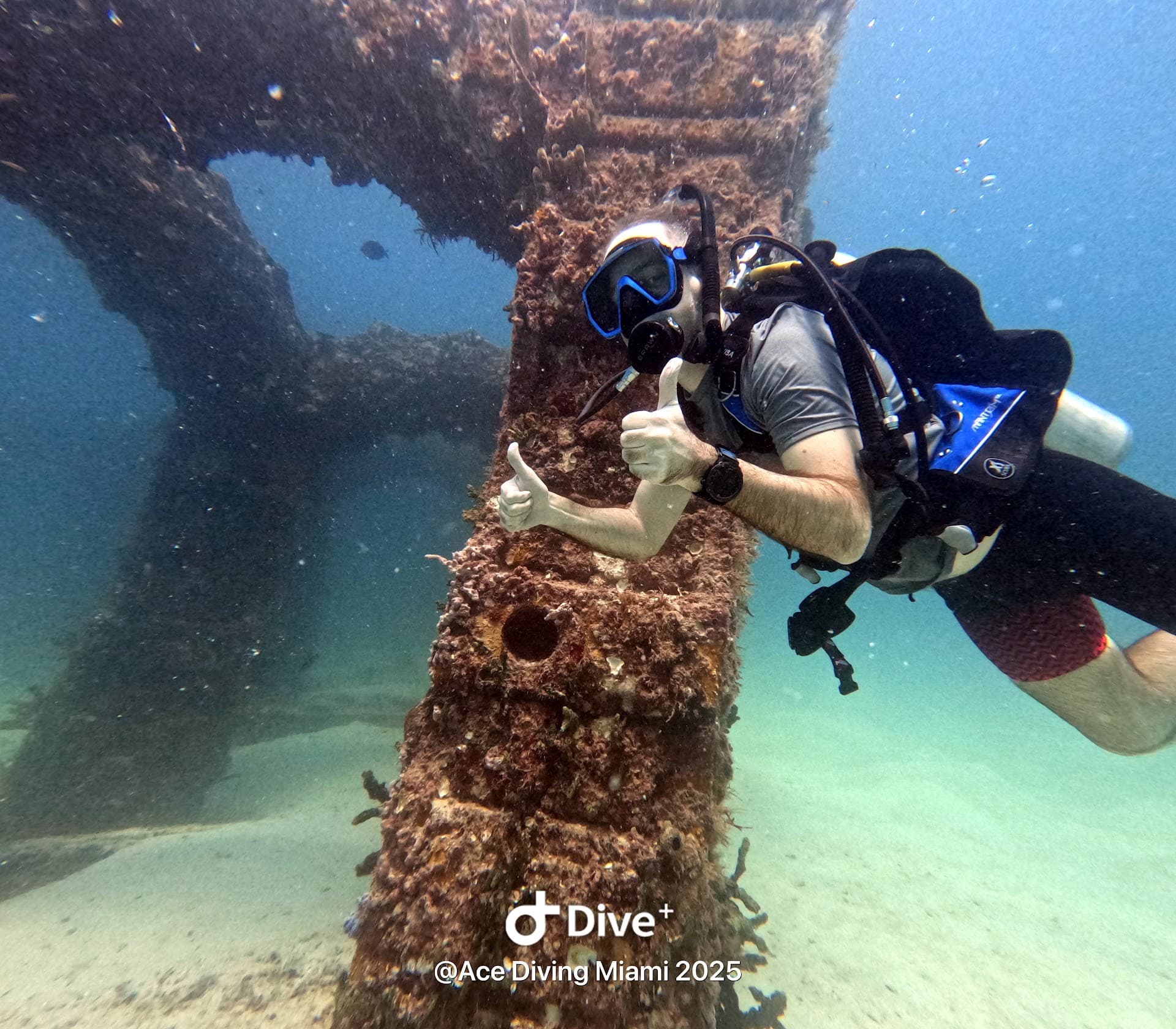 Diver exploring underwater structure at Ace Diving Miami
