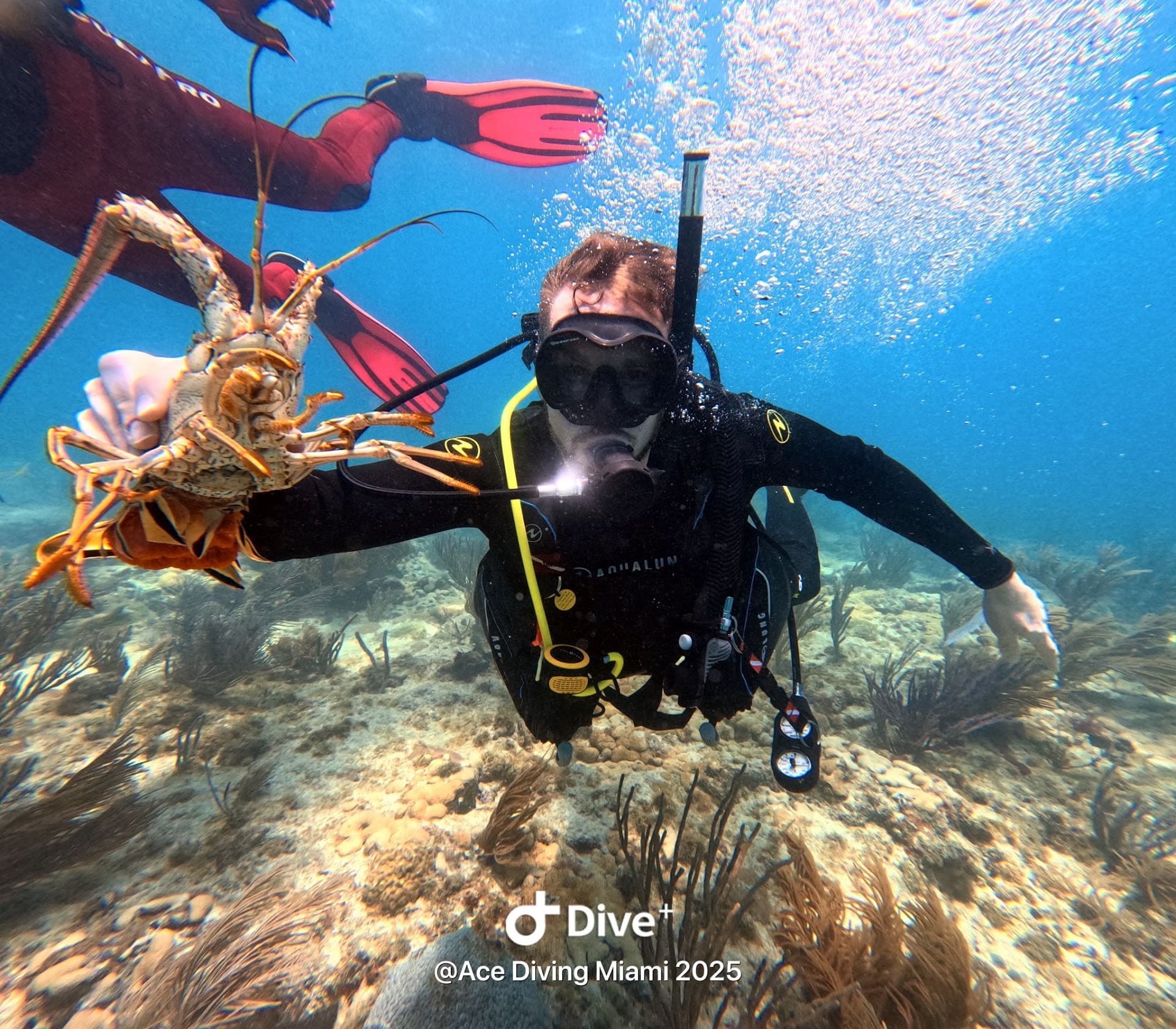 Diver holding lobster at Ace Diving Miami Slip 33