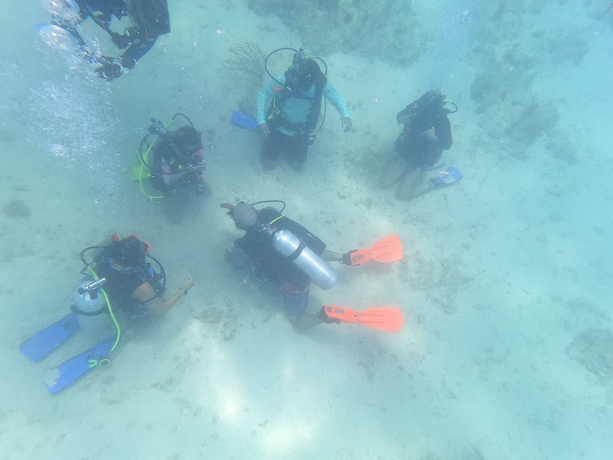 Diving experience at Ace Diving Miami, Slip 33