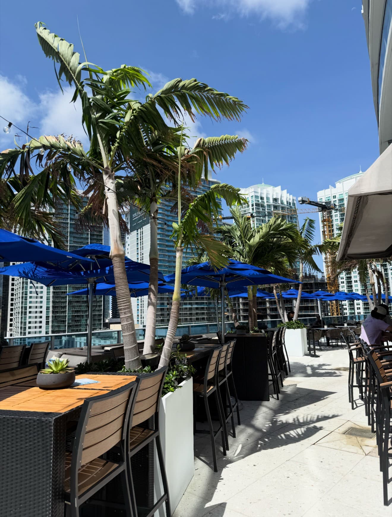 Outdoor patio seating at Area 31 in Miami