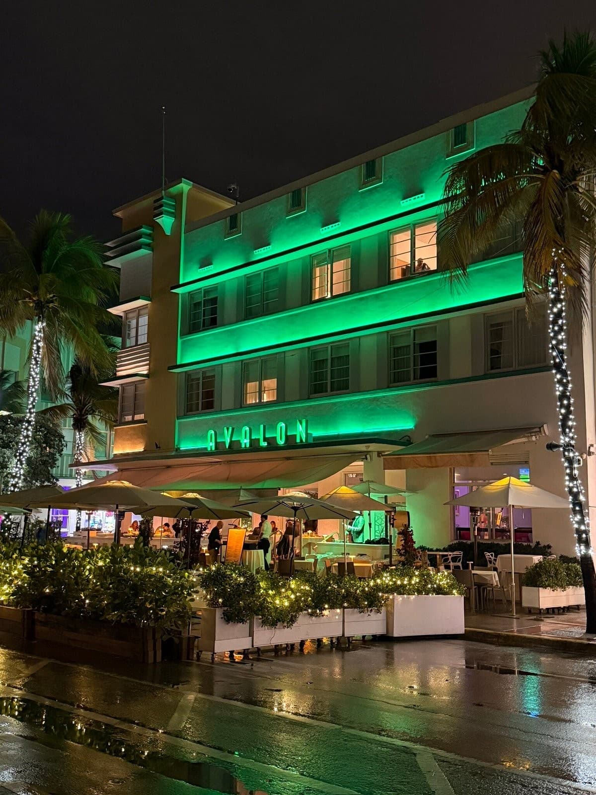 Avalon Hotel Miami Beach illuminated at night
