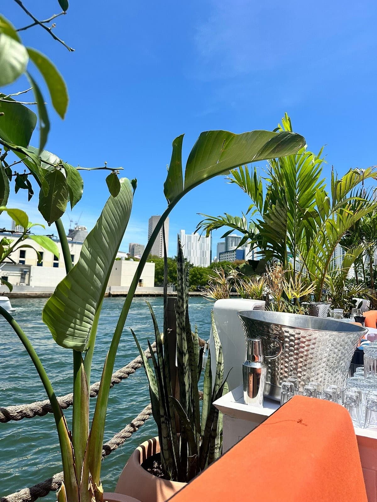 Patio view at Bagatelle Miami River with greenery