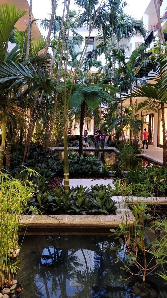 Lush greenery at Bal Harbour Shops, Miami
