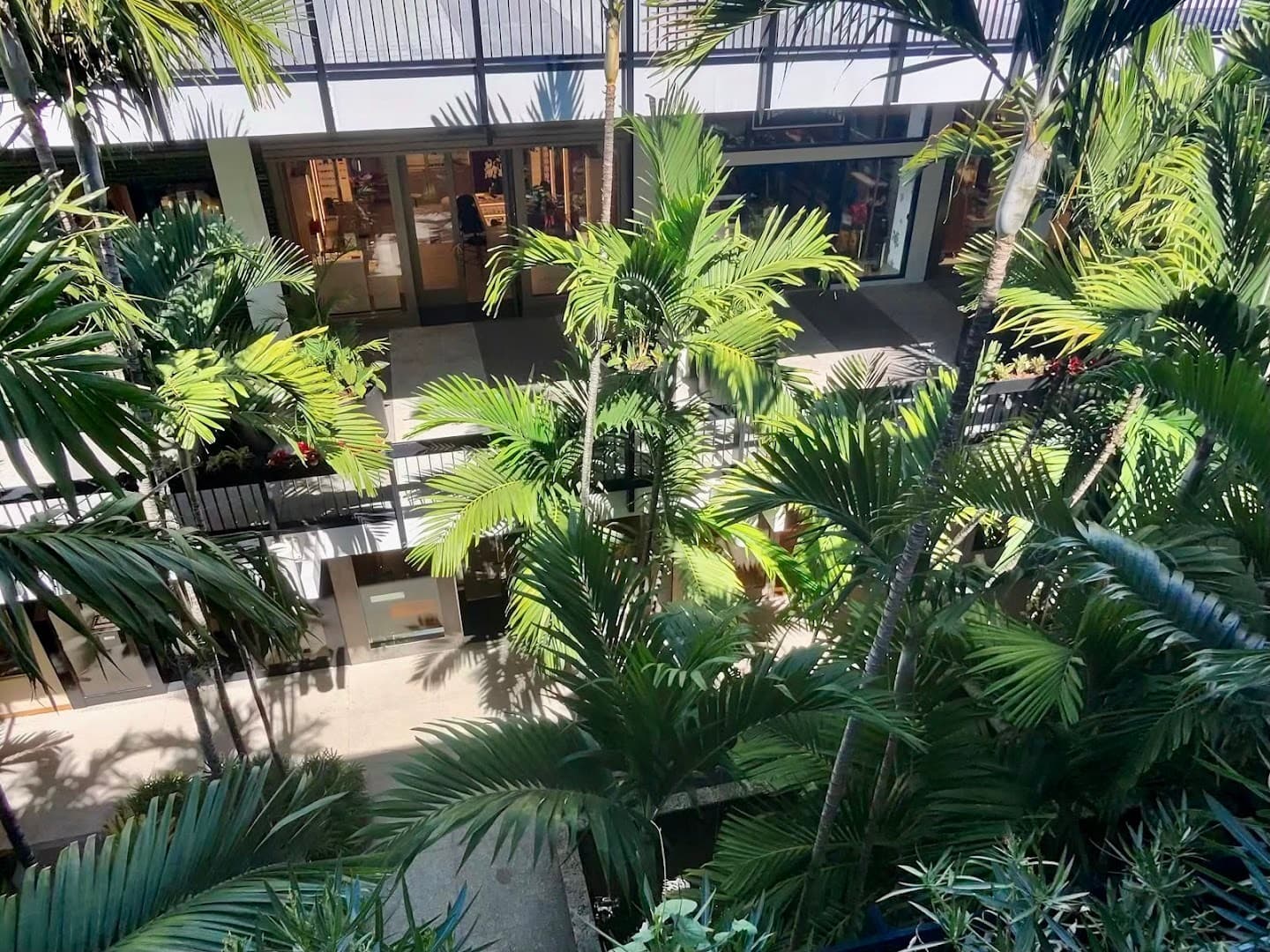 Lush greenery at Bal Harbour Shops in Miami