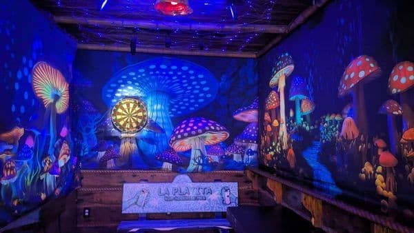 Colorful interior of Barracuda Taphouse & Grill in Coconut Grove