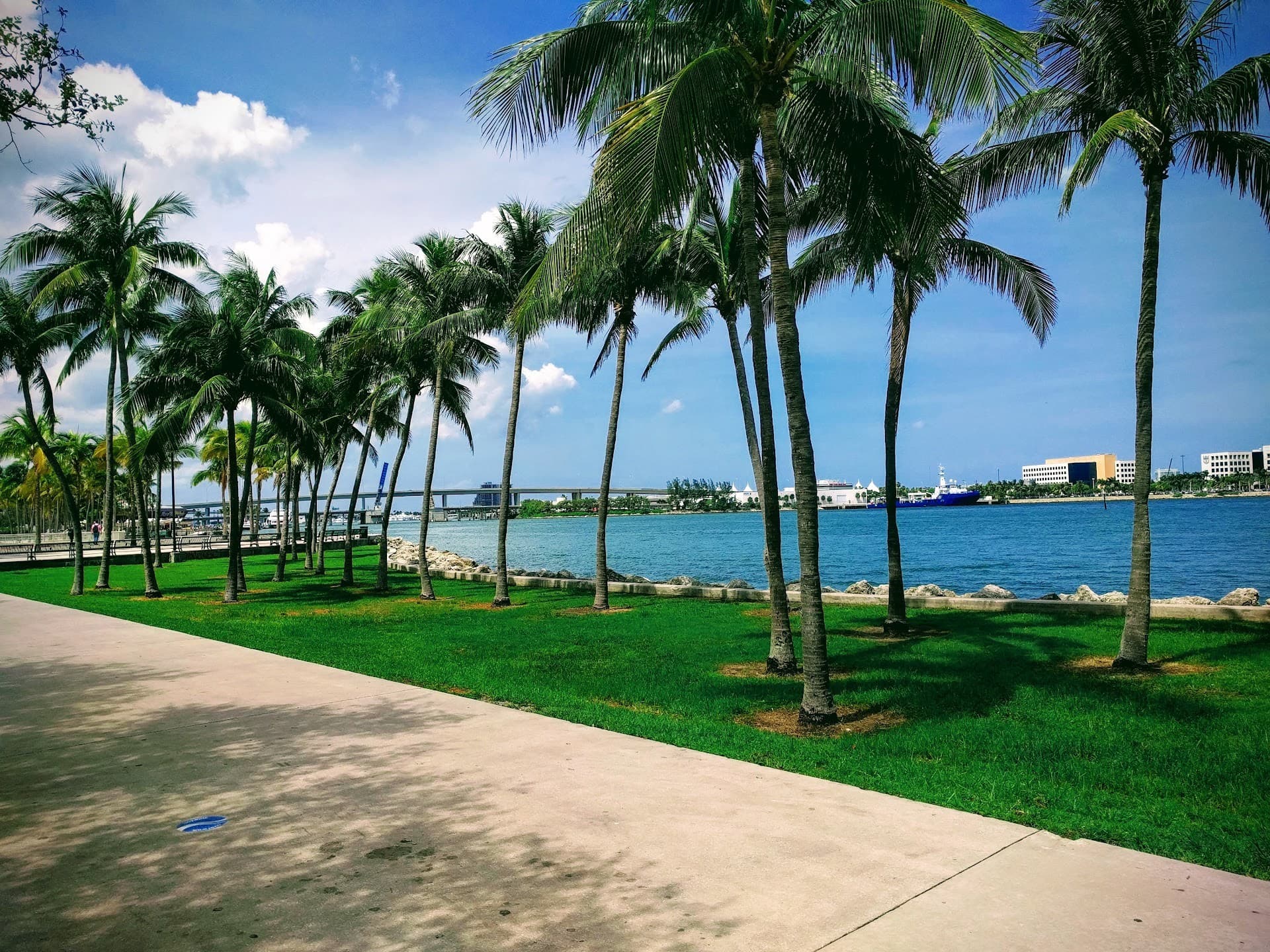 Bayfront Park exterior view with palm trees in Miami