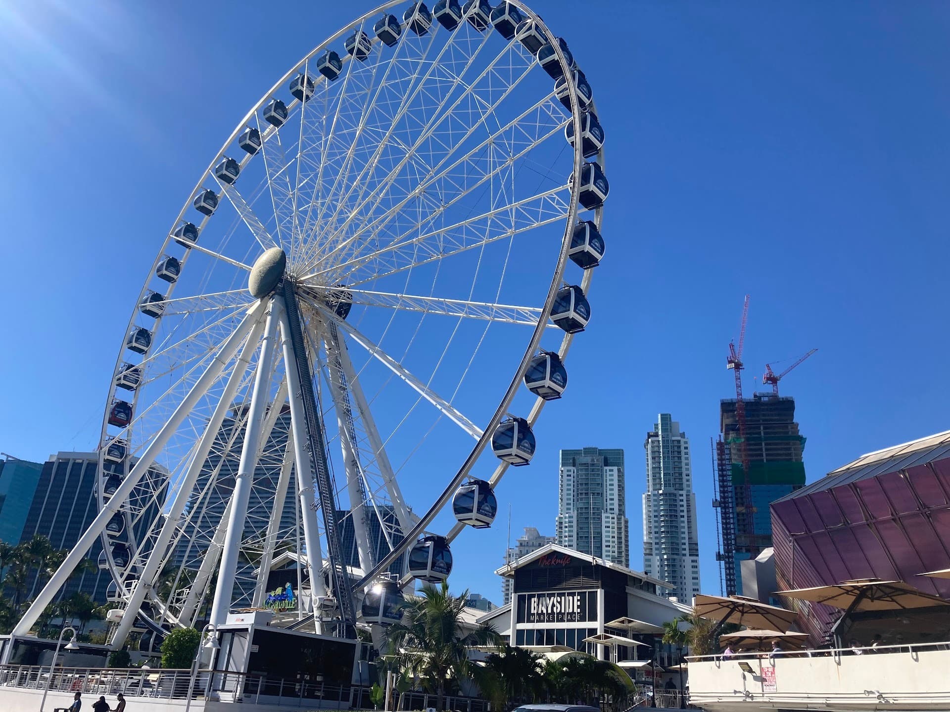 Ferris wheel at Bayfront Park, Miami