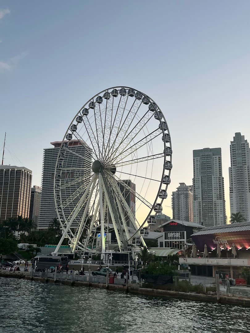 Bayside Marketplace Ferris wheel view in Miami