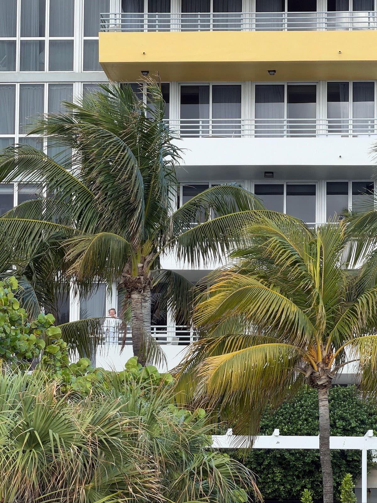 Bentley Hotel South Beach exterior view with palm trees