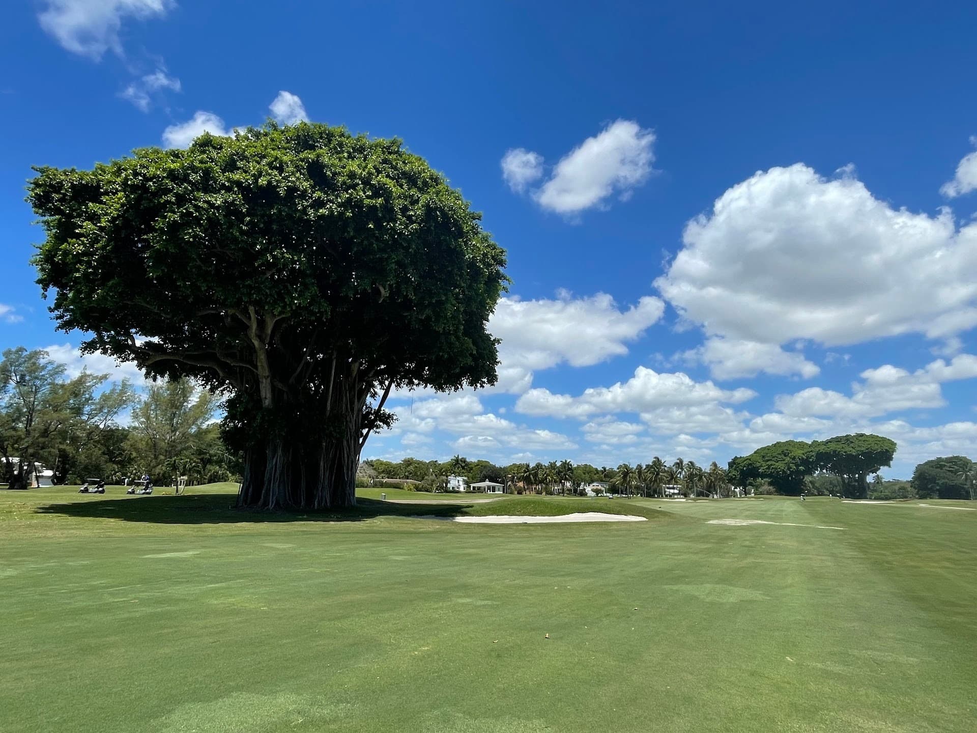 Biltmore Golf Course Miami scenic view in Coral Gables