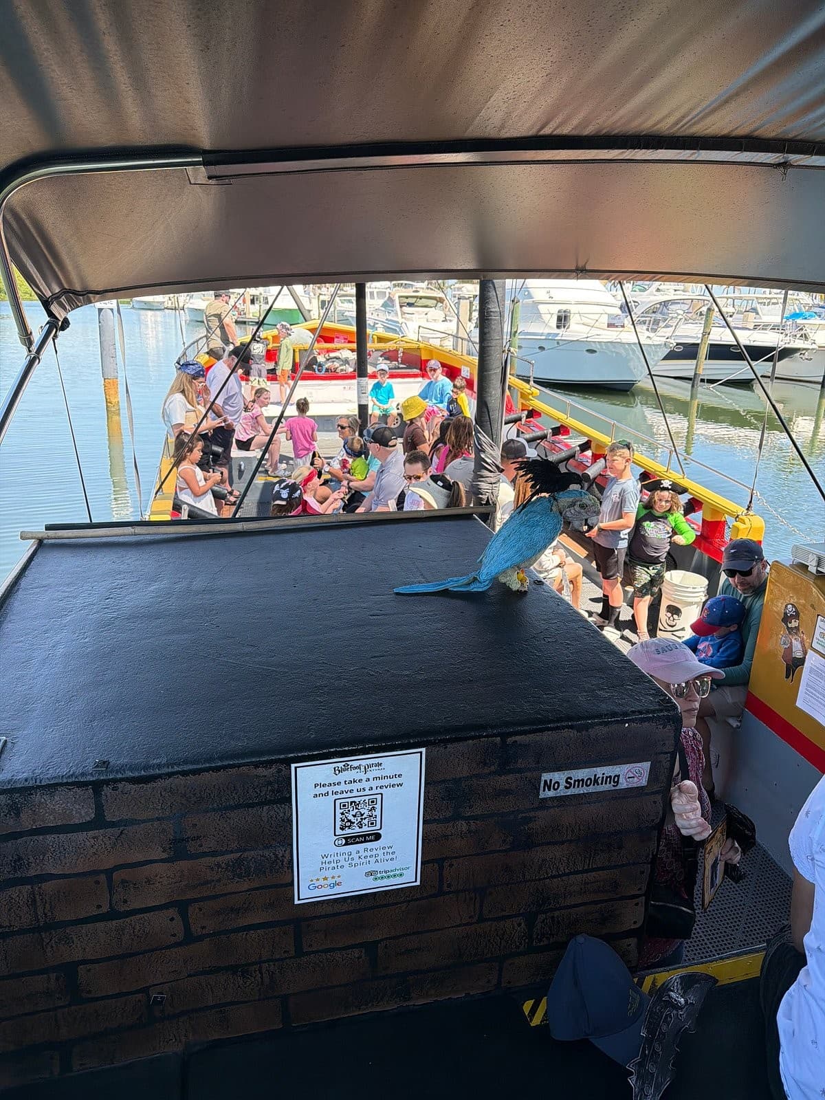 BlueFoot Pirate Adventures boat at 151 N Beach Rd