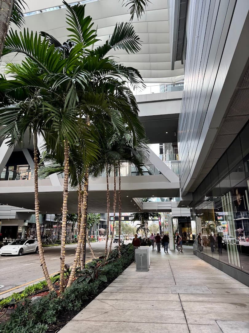 Palm trees and modern architecture at Brickell City Centre Miami