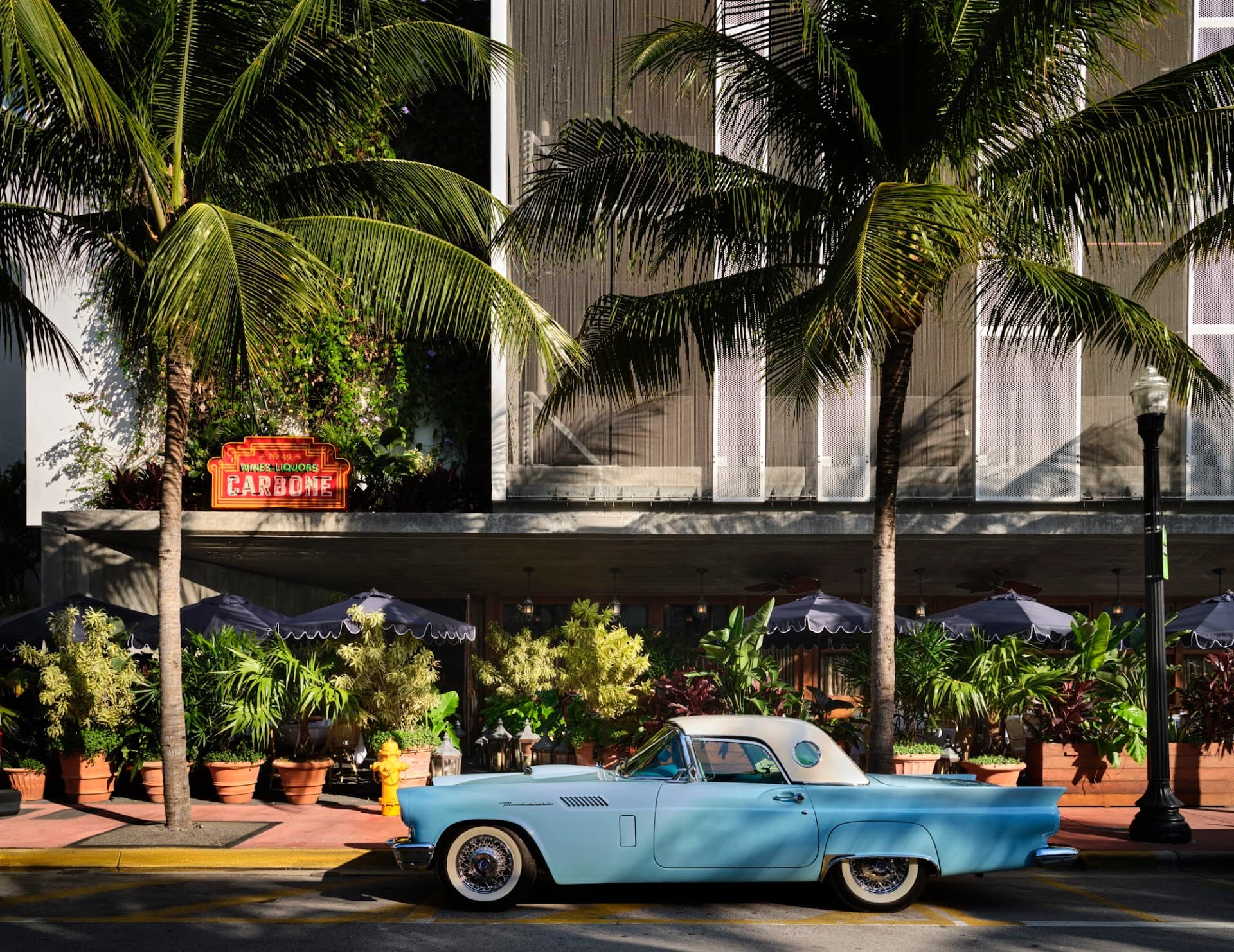 Carbone Miami exterior with vintage car and palm trees