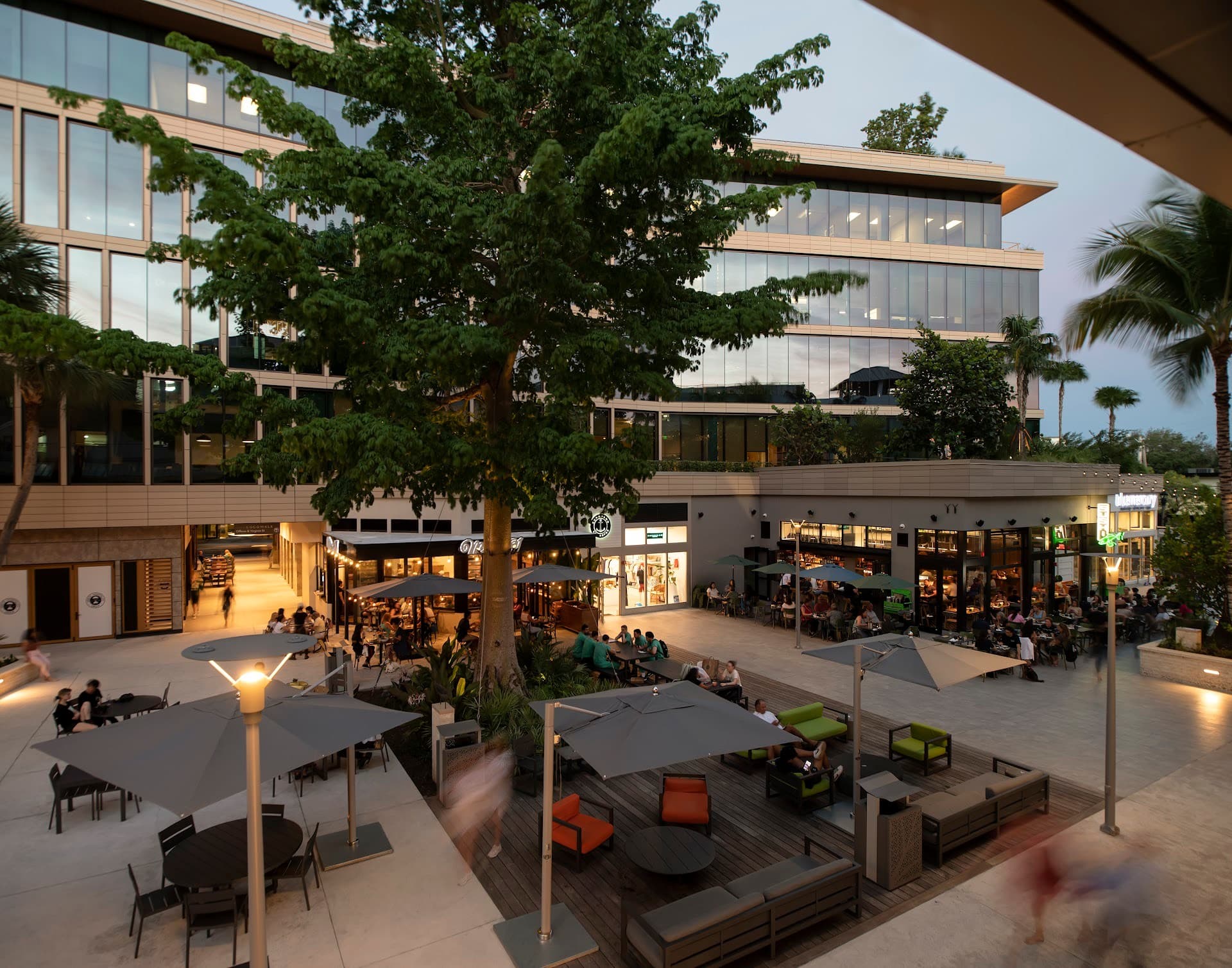 CocoWalk outdoor area in Coconut Grove