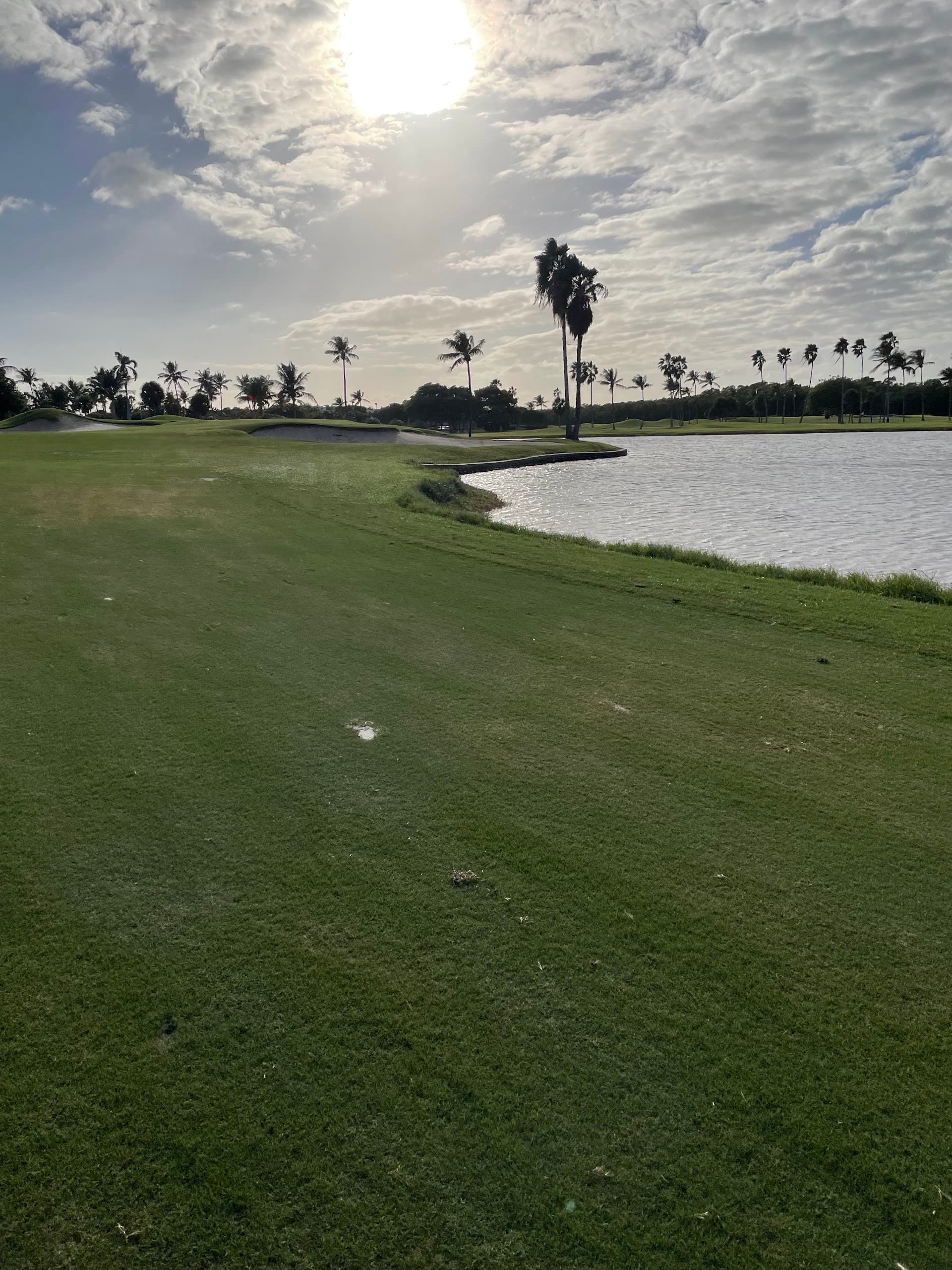 Crandon Golf at Key Biscayne scenic view