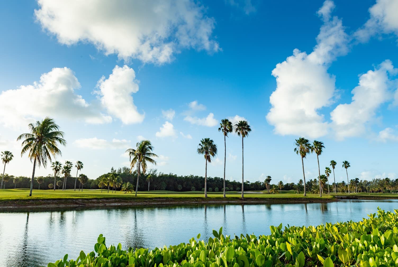 Scenic view of Crandon Golf at Key Biscayne