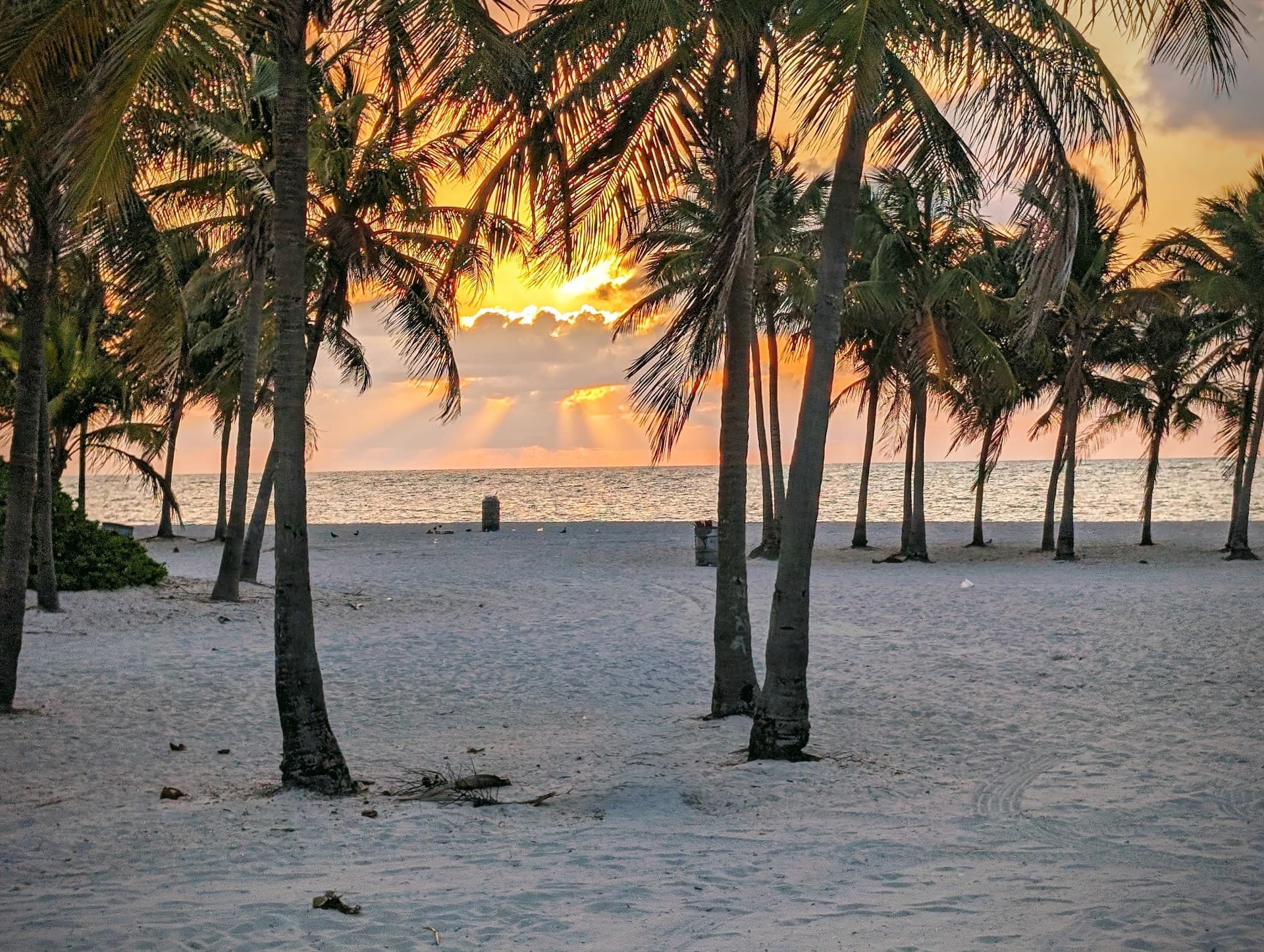 Crandon Park sunset view in Key Biscayne