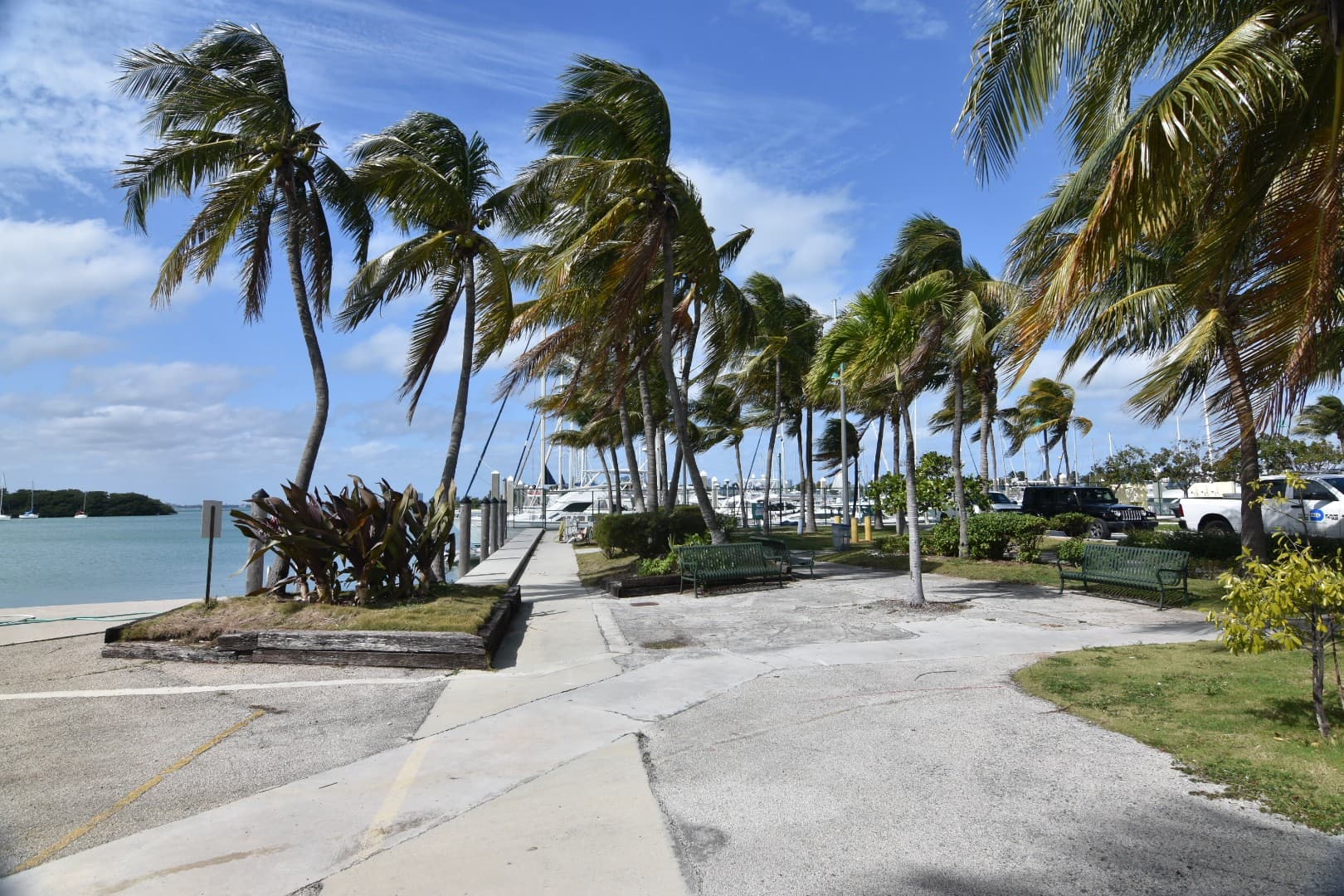 Scenic view of Crandon Park in Key Biscayne