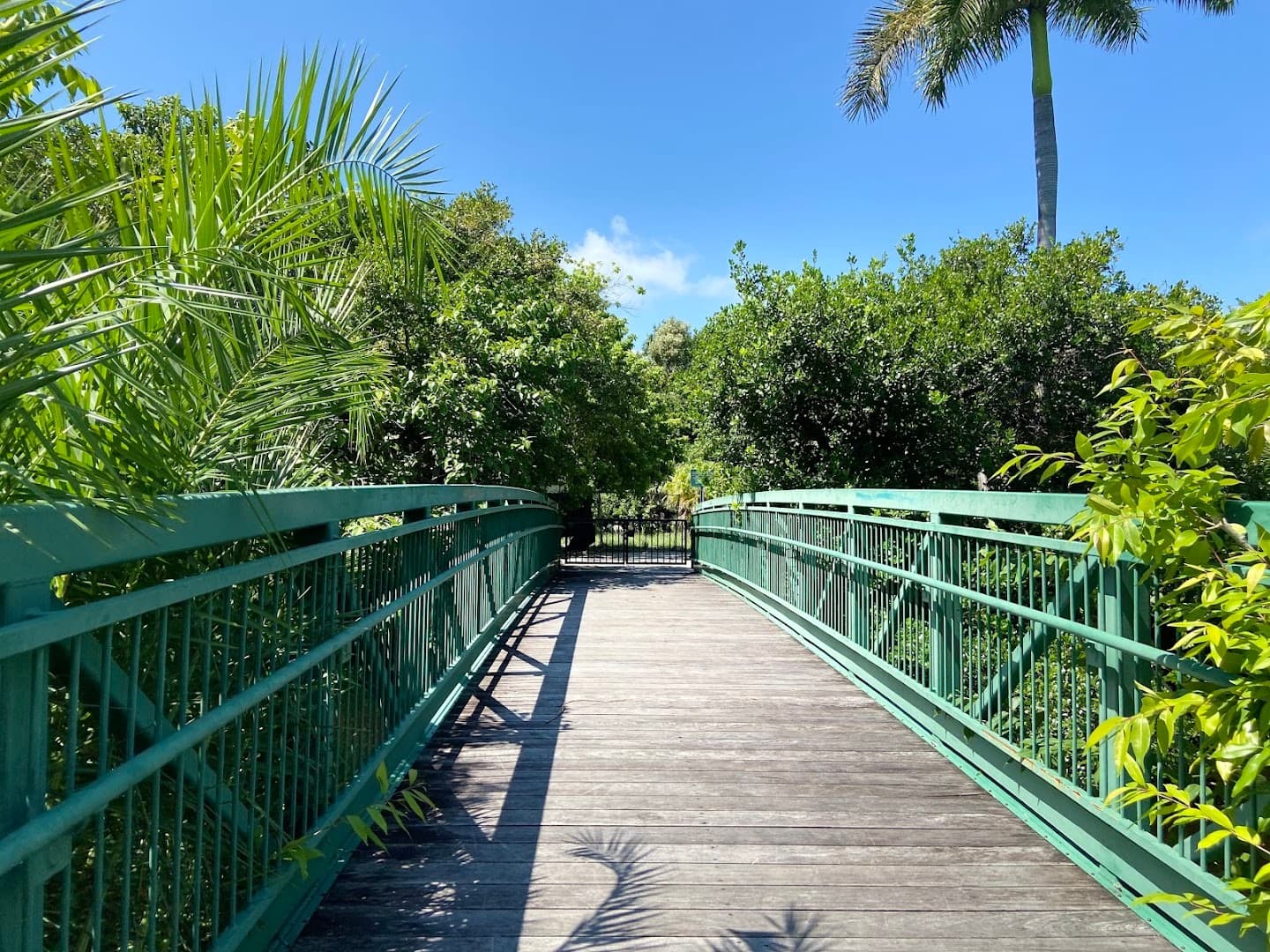 Bridge in Crandon Park, Key Biscayne