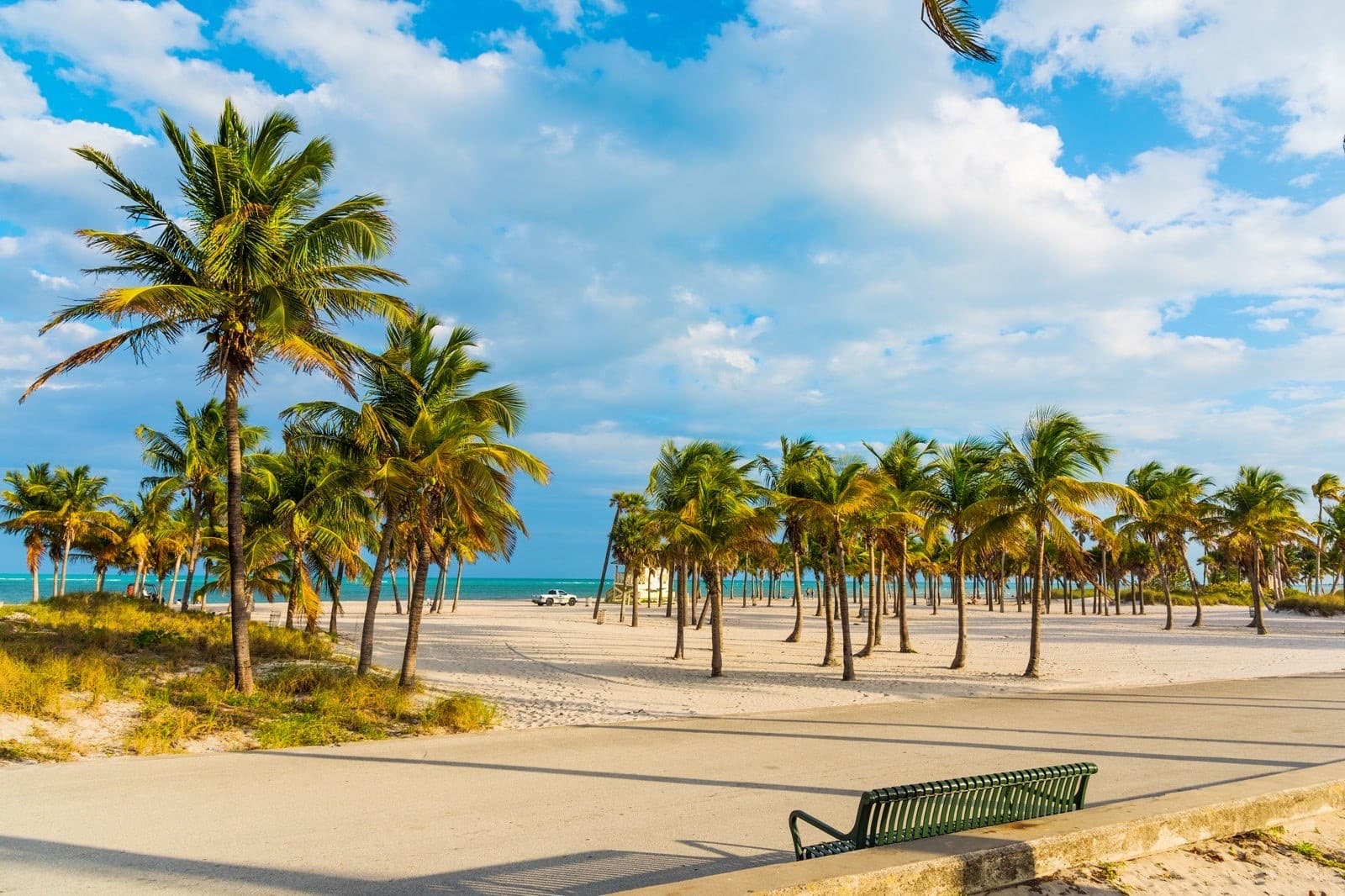 Scenic view of Crandon Park beach and palm trees