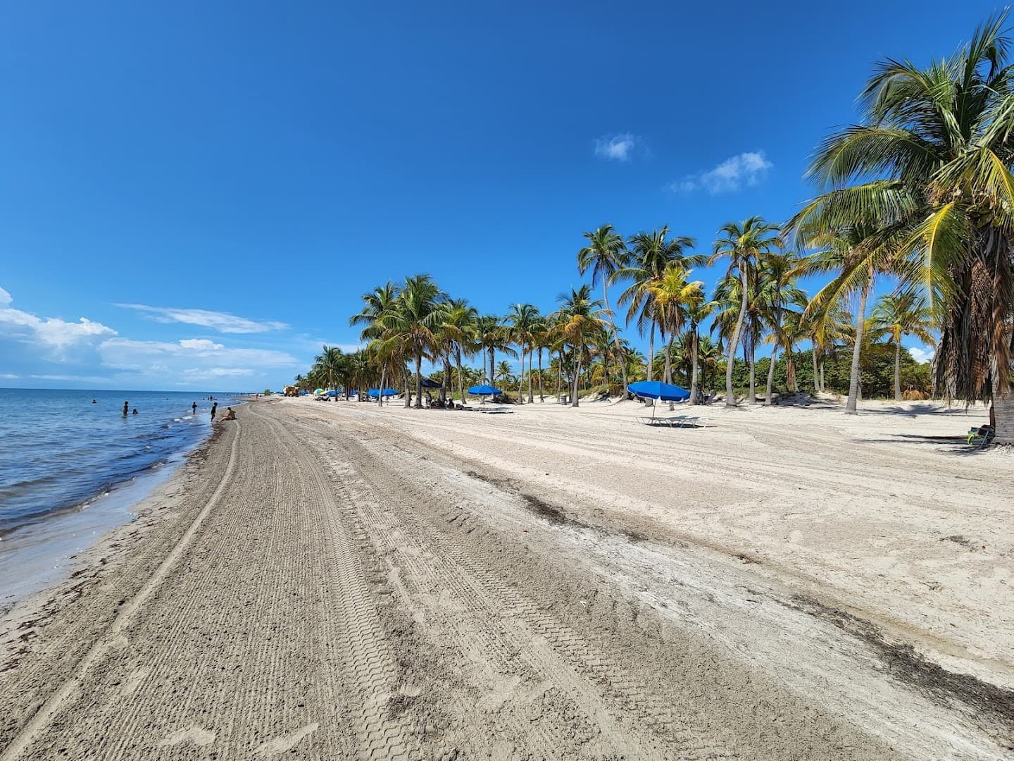Scenic view of Crandon Park beach in Key Biscayne