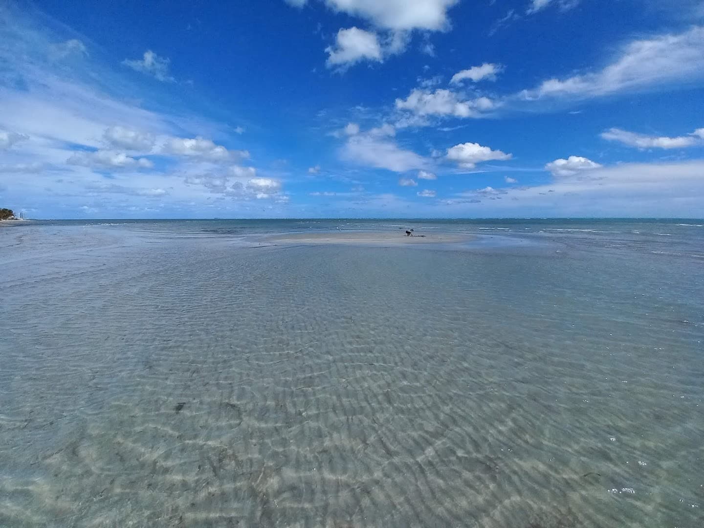 Scenic view of Crandon Park beach in Key Biscayne