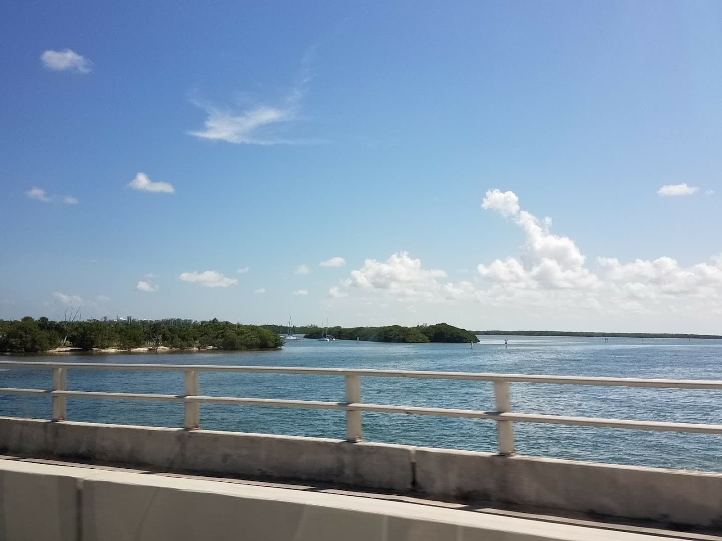 Scenic view of Crandon Park in Key Biscayne