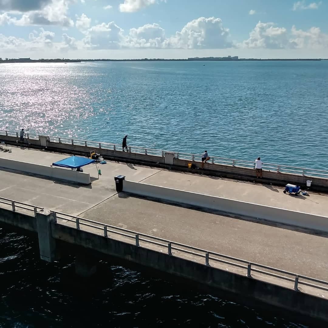 Scenic view of Crandon Park on Key Biscayne