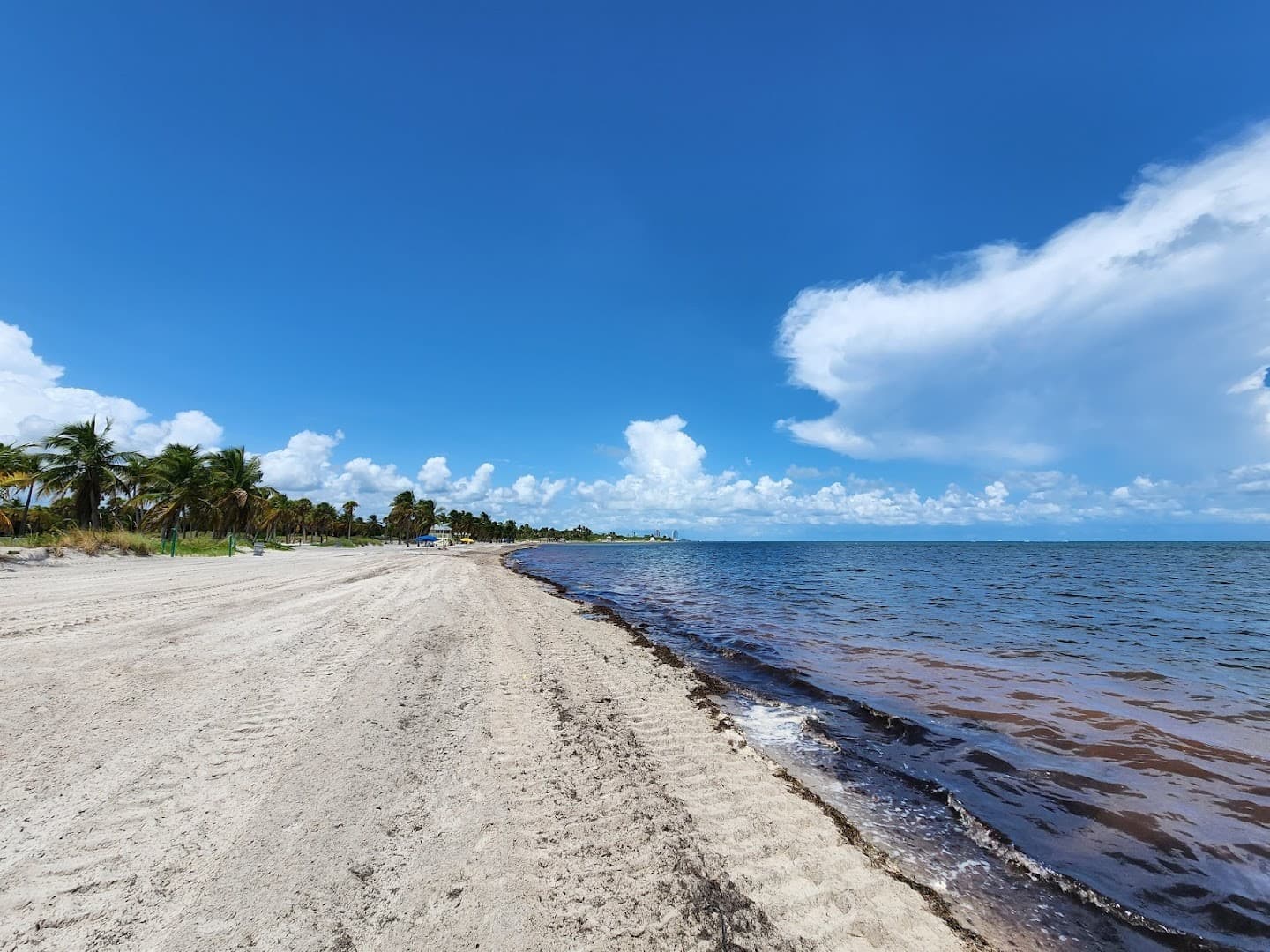 Scenic view of Crandon Park beach in Key Biscayne