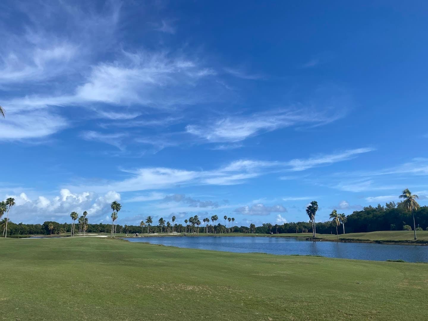 Scenic view of Crandon Park in Key Biscayne