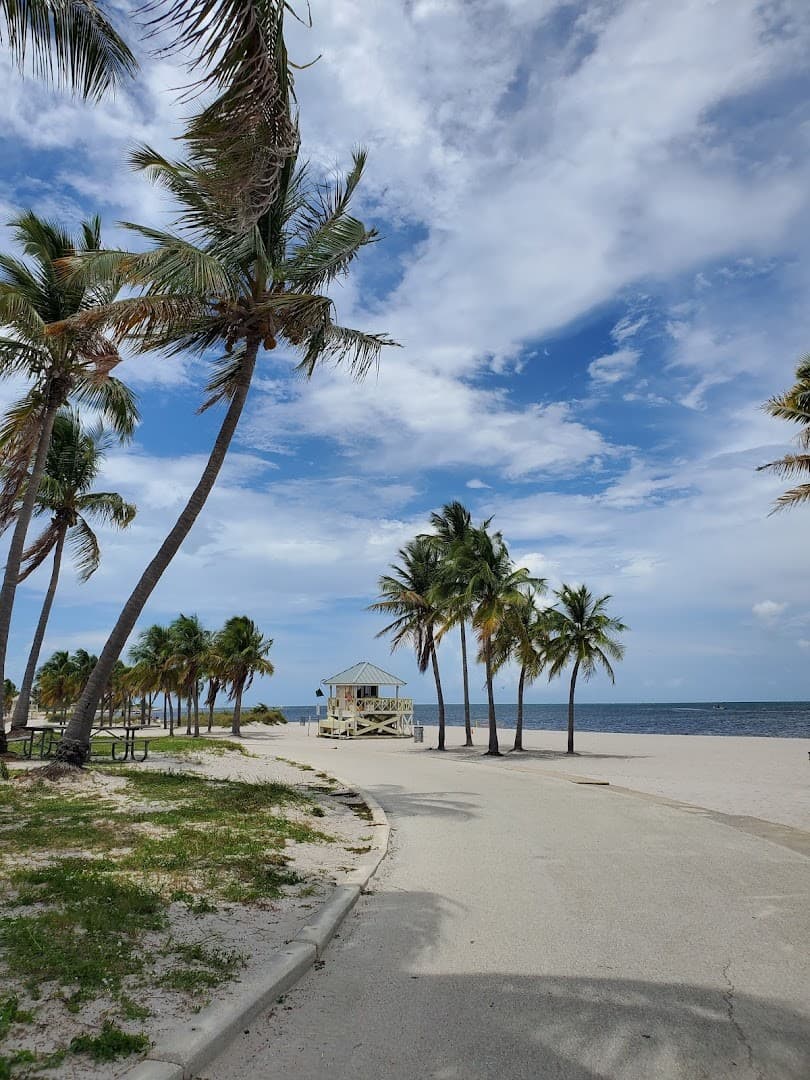Scenic view of Crandon Park beach and palm trees