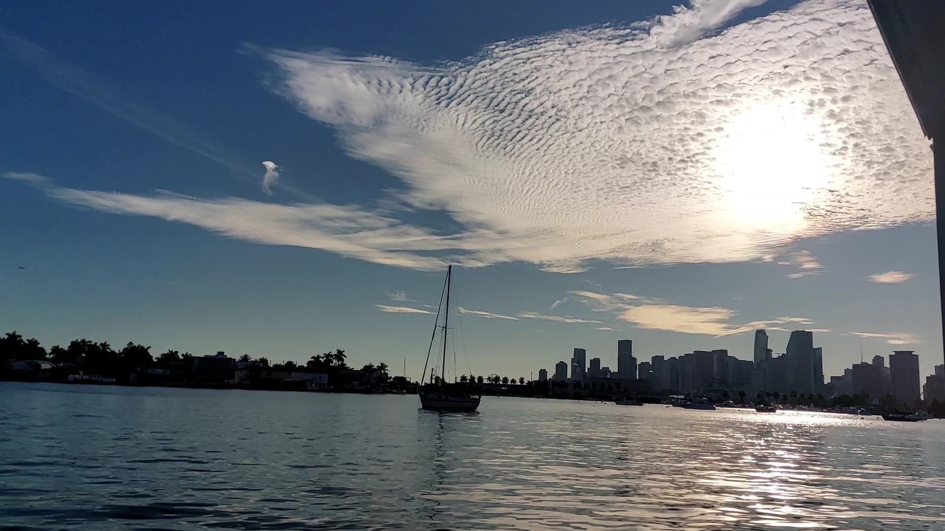 Scenic view of Miami Beach with Duck Tours