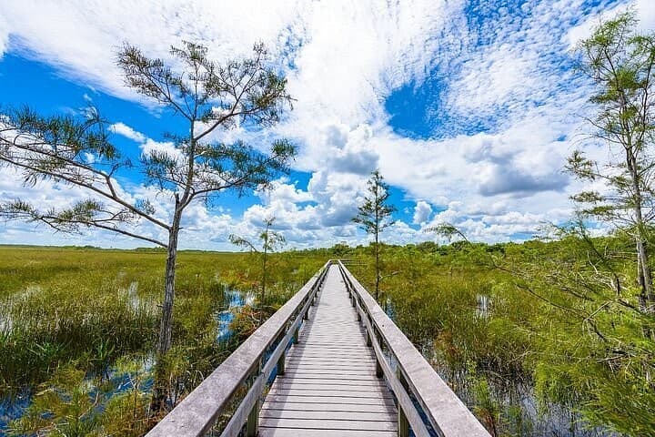 Everglades National Park landscape in Miami