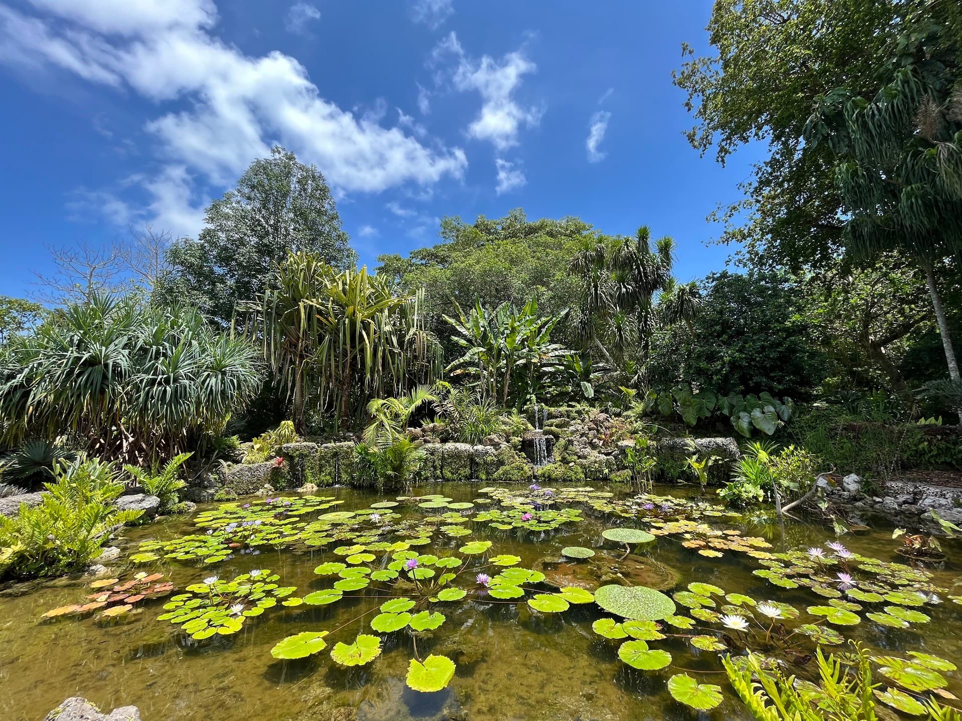Fairchild Tropical Botanic Garden exterior view in Coral Gables
