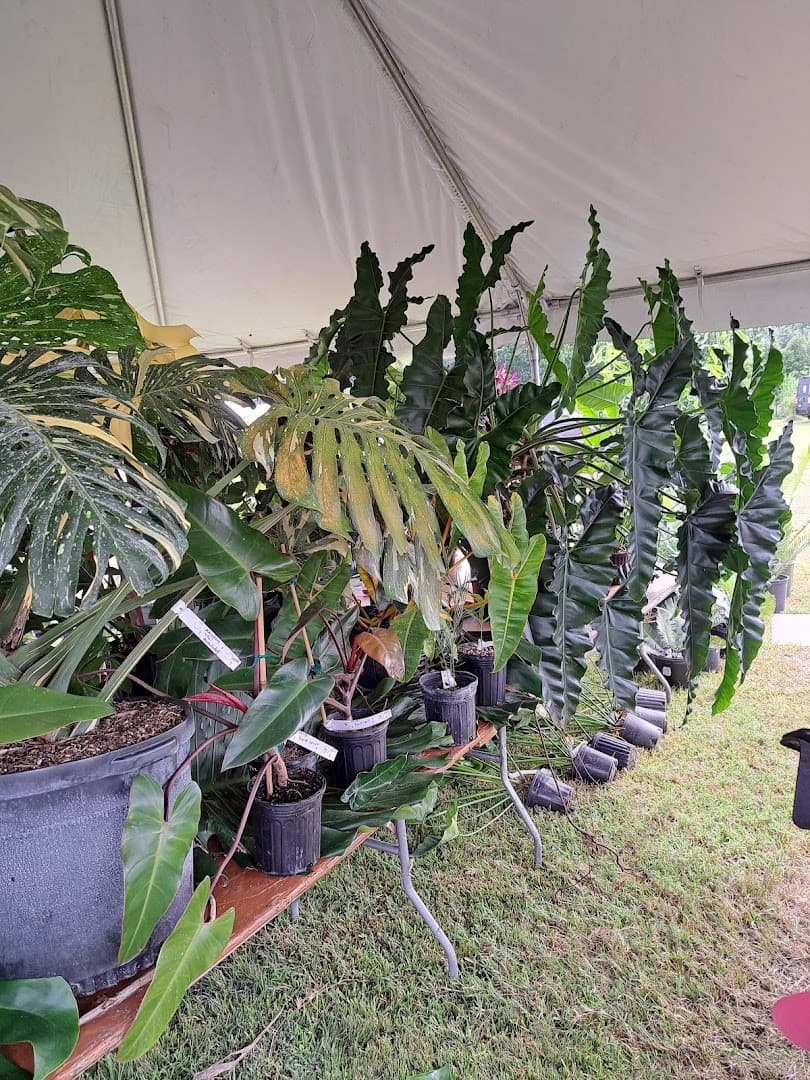 Plants at Fruit & Spice Park in Homestead