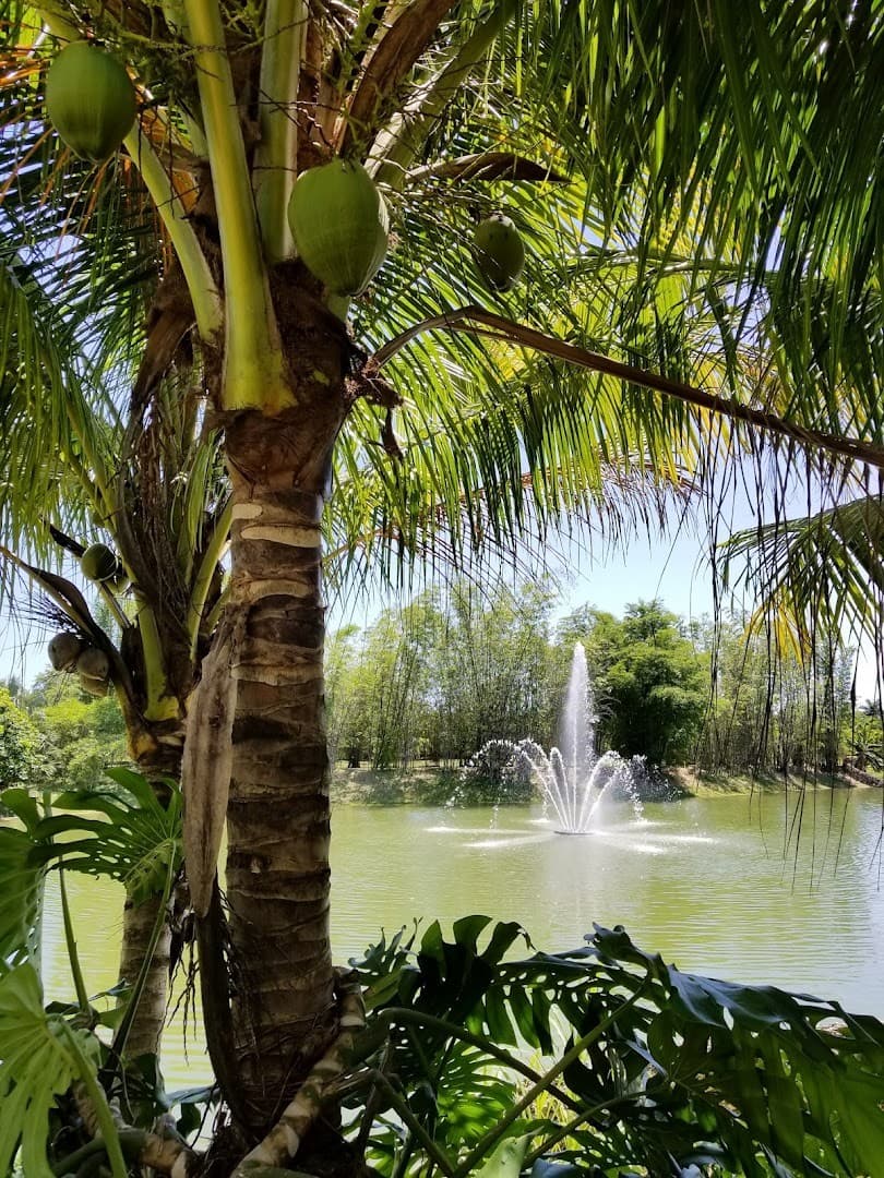 Fruit & Spice Park lush greenery and fountain view in Homestead