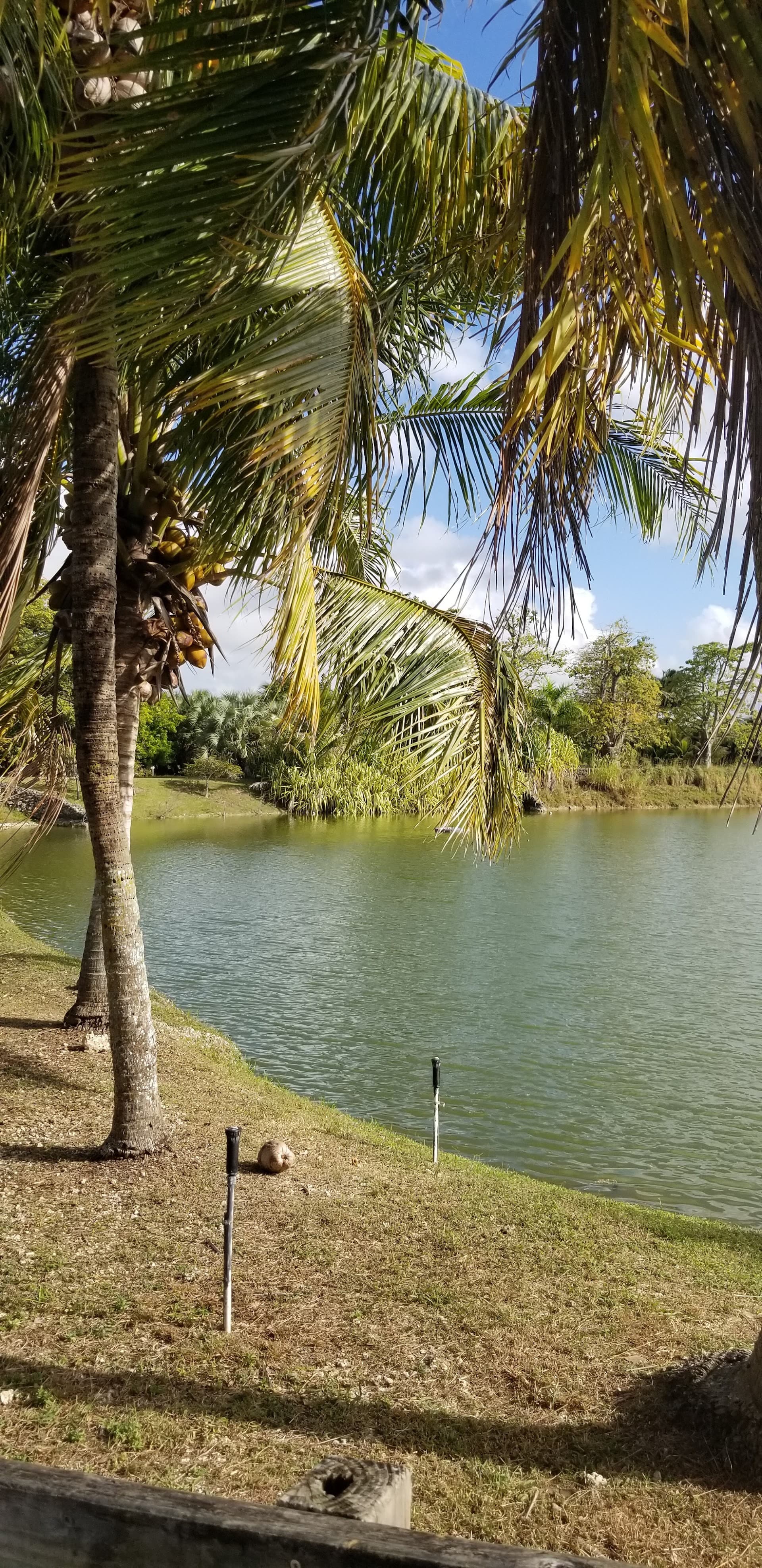 Scenic view of Fruit & Spice Park in Homestead