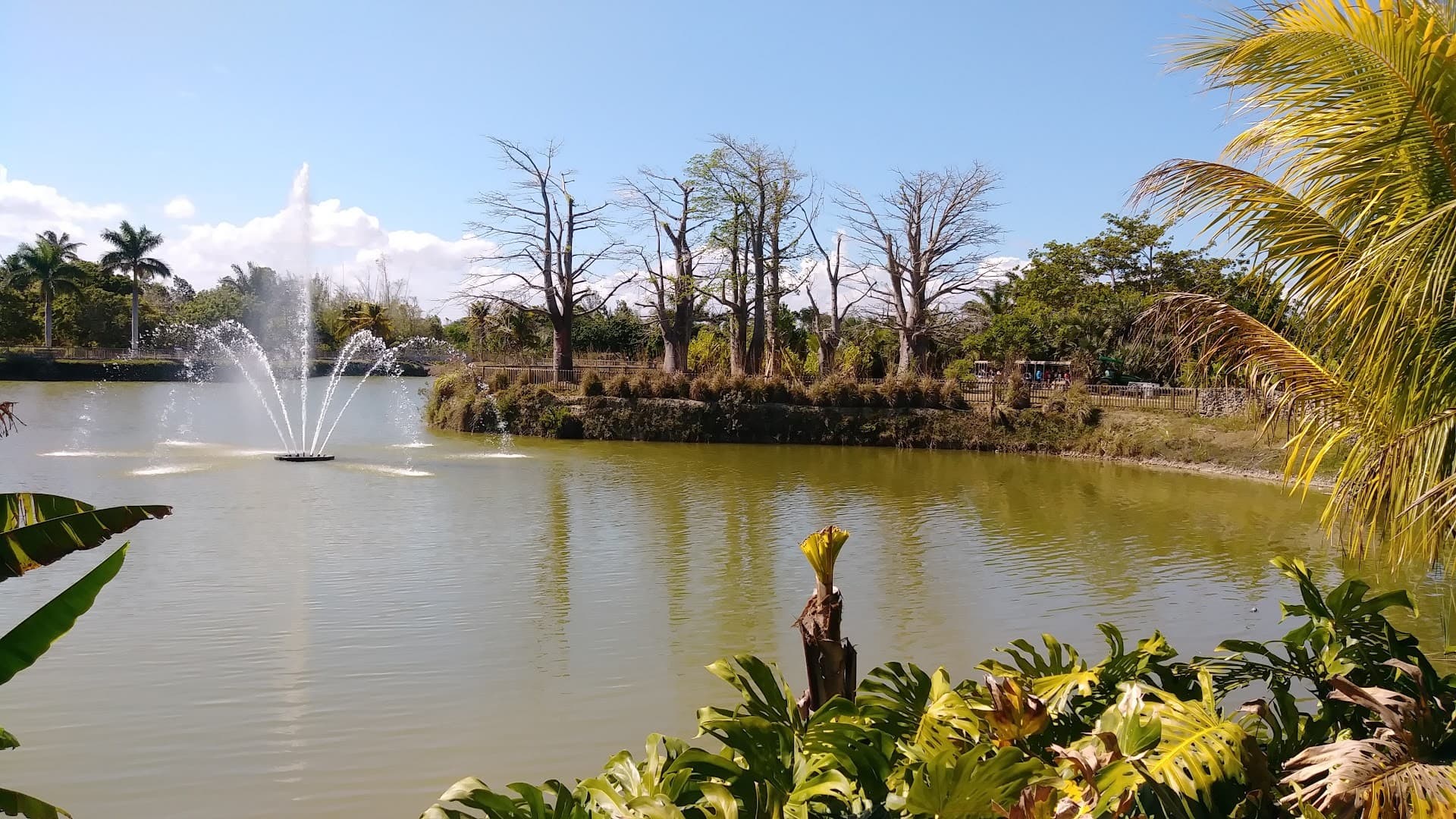 Scenic view of Fruit & Spice Park in Homestead