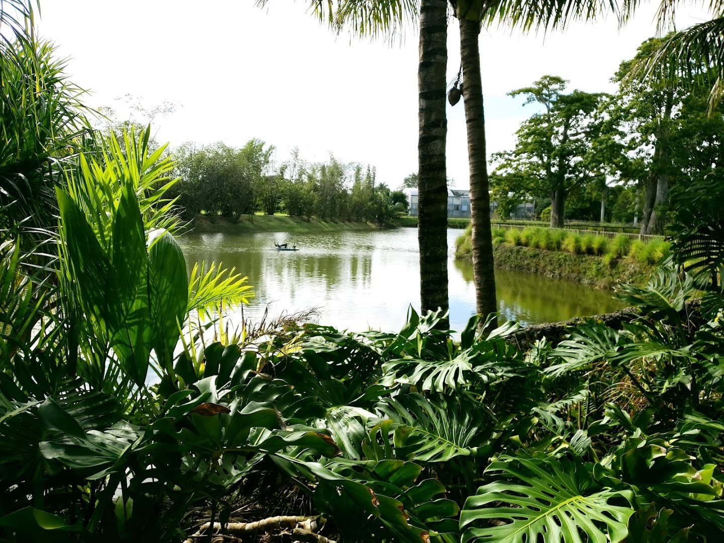 Scenic view of Fruit & Spice Park in Homestead