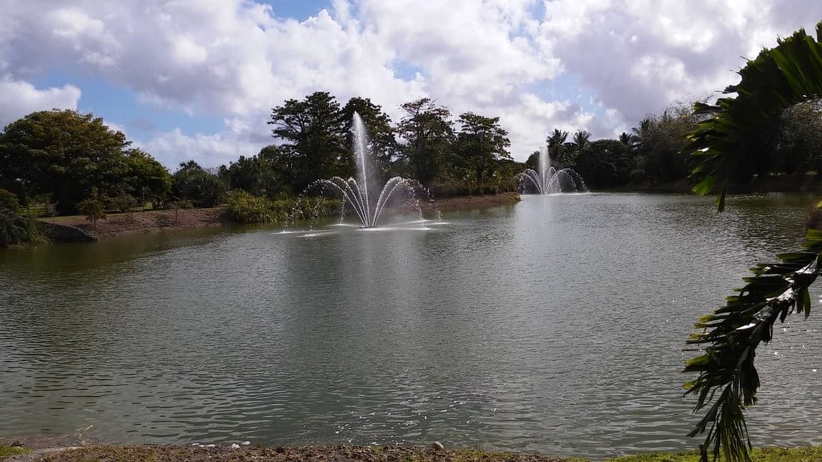 Scenic view of fountains at Fruit & Spice Park in Homestead
