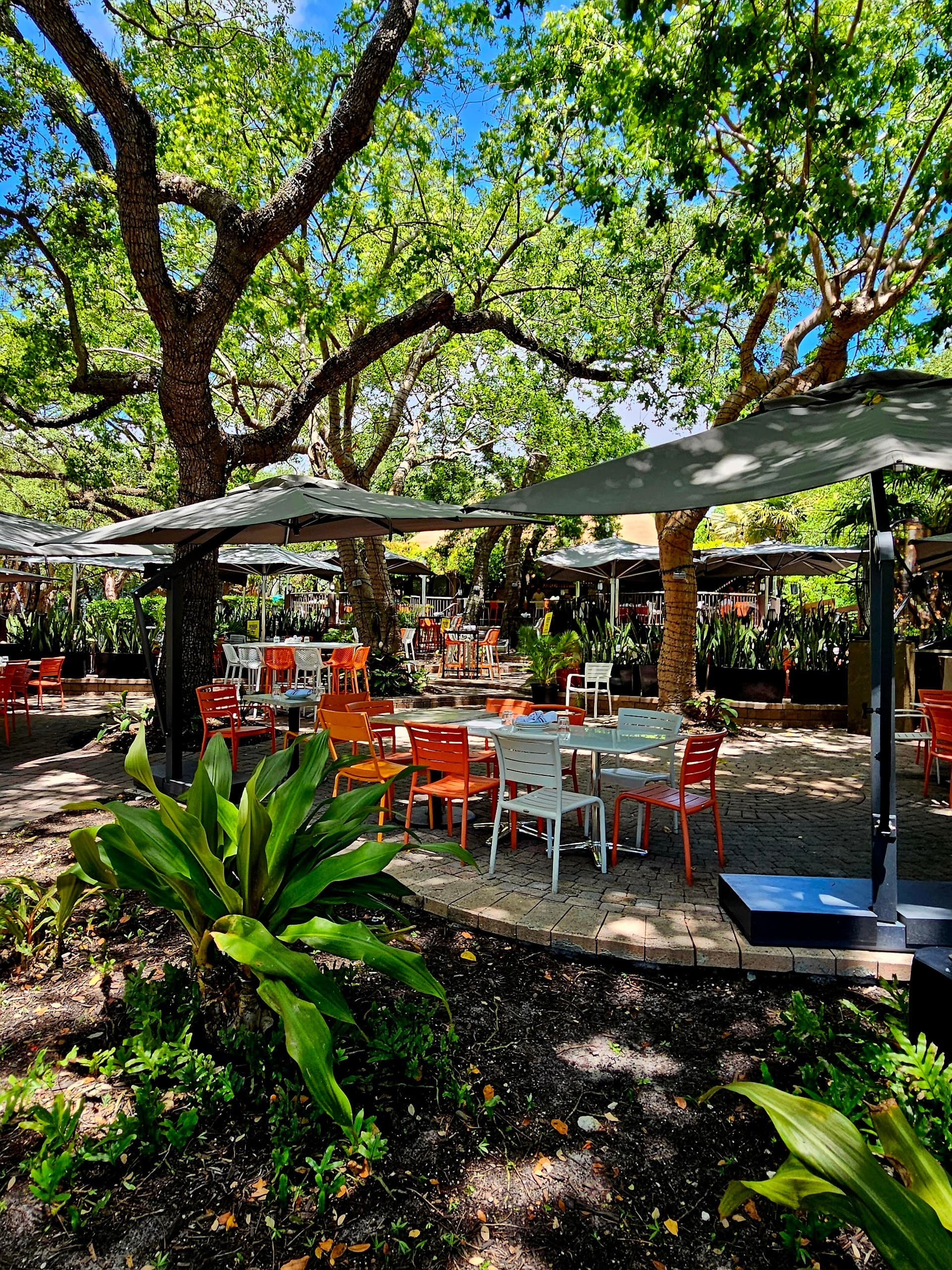 Patio dining at Glass & Vine in Miami