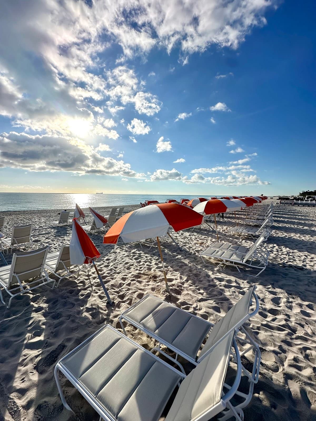 Beach area at Hotel Continental Miami Beach