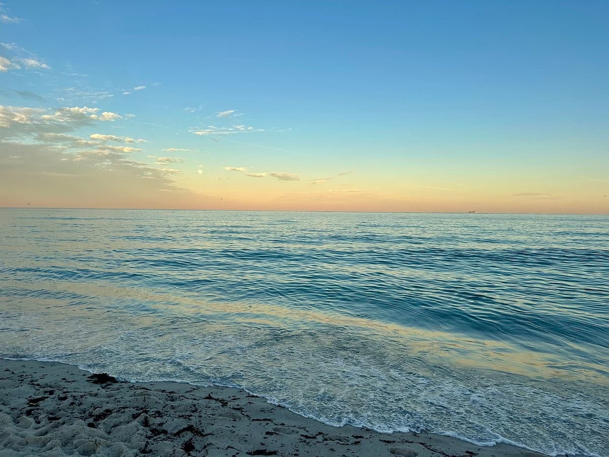 Scenic beach view near Hotel Continental Miami Beach