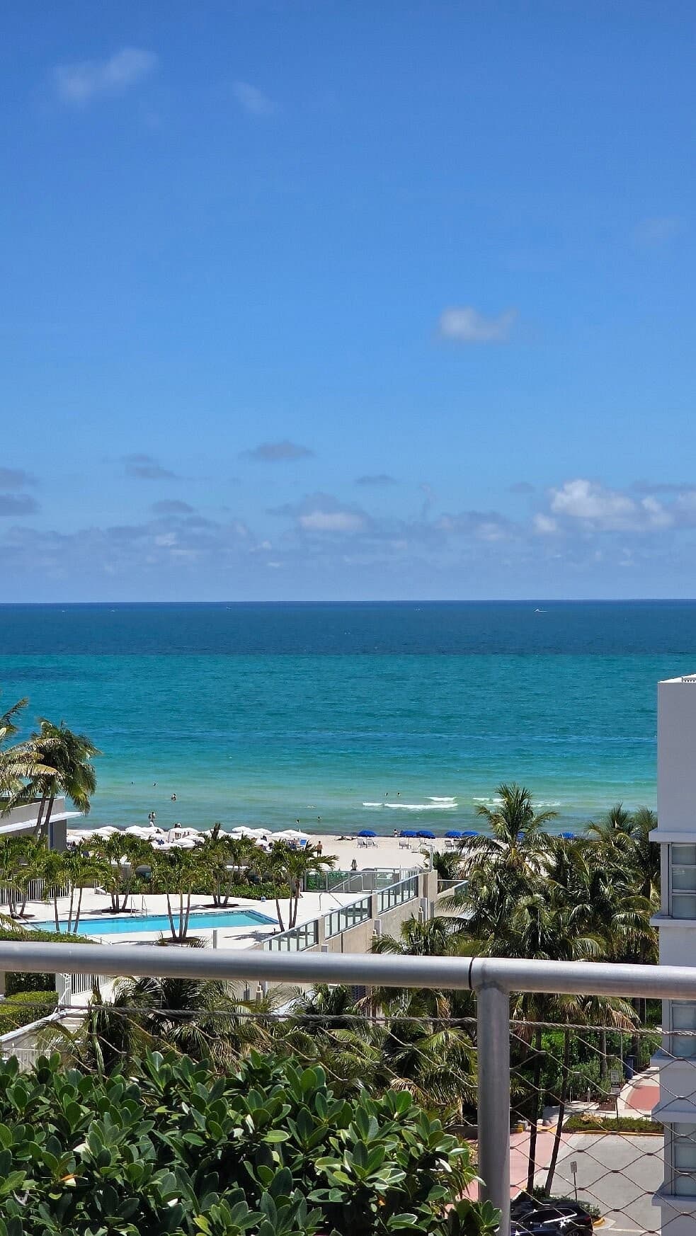 Scenic view from Hotel Croydon Miami Beach