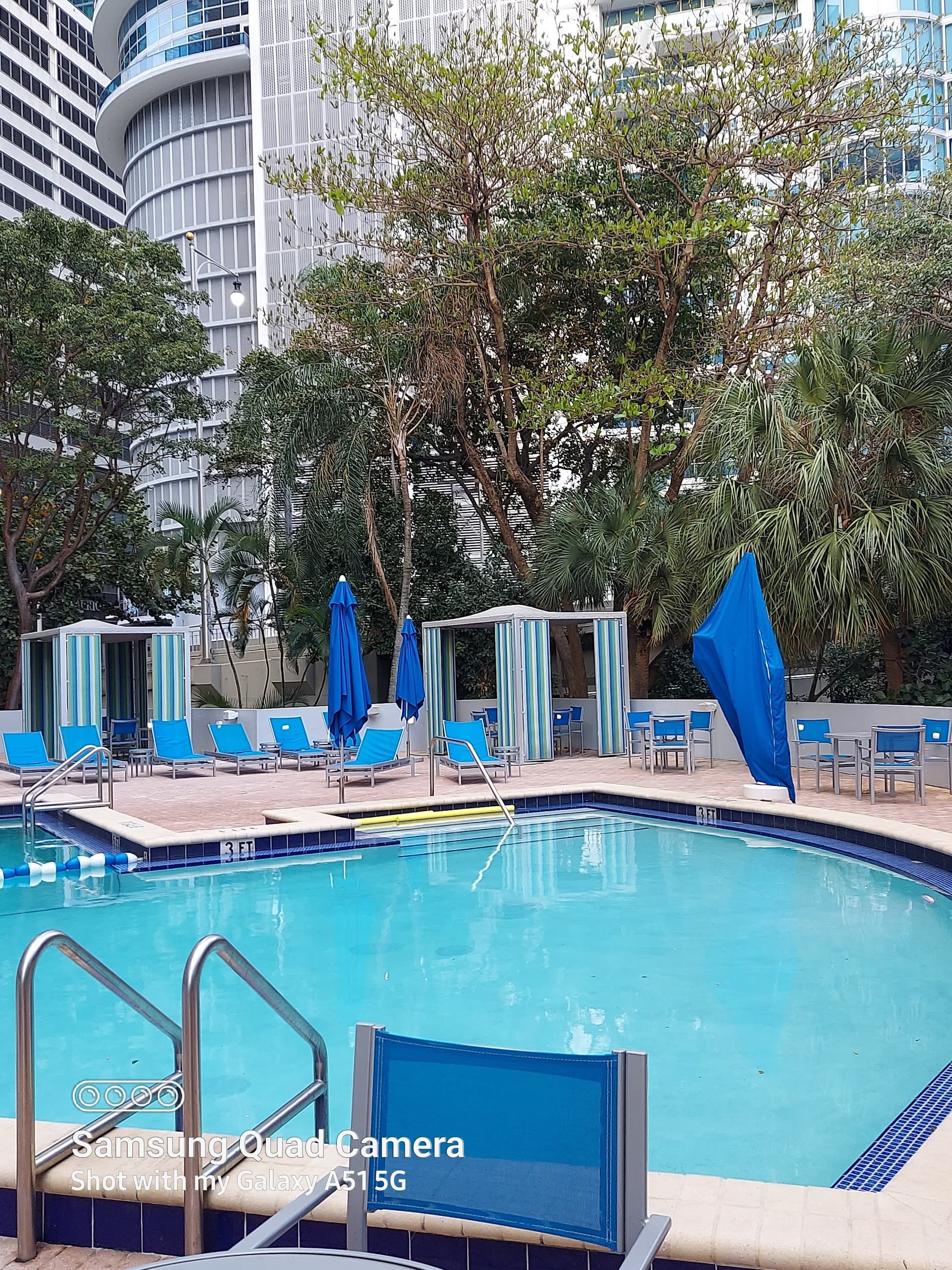 Hyatt Regency Miami pool area with lounge chairs