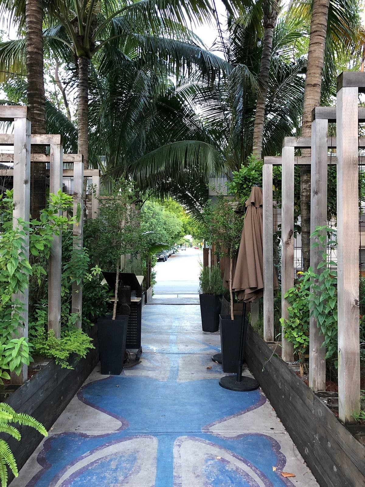 Pathway leading to Ironside Pizza in Miami with greenery