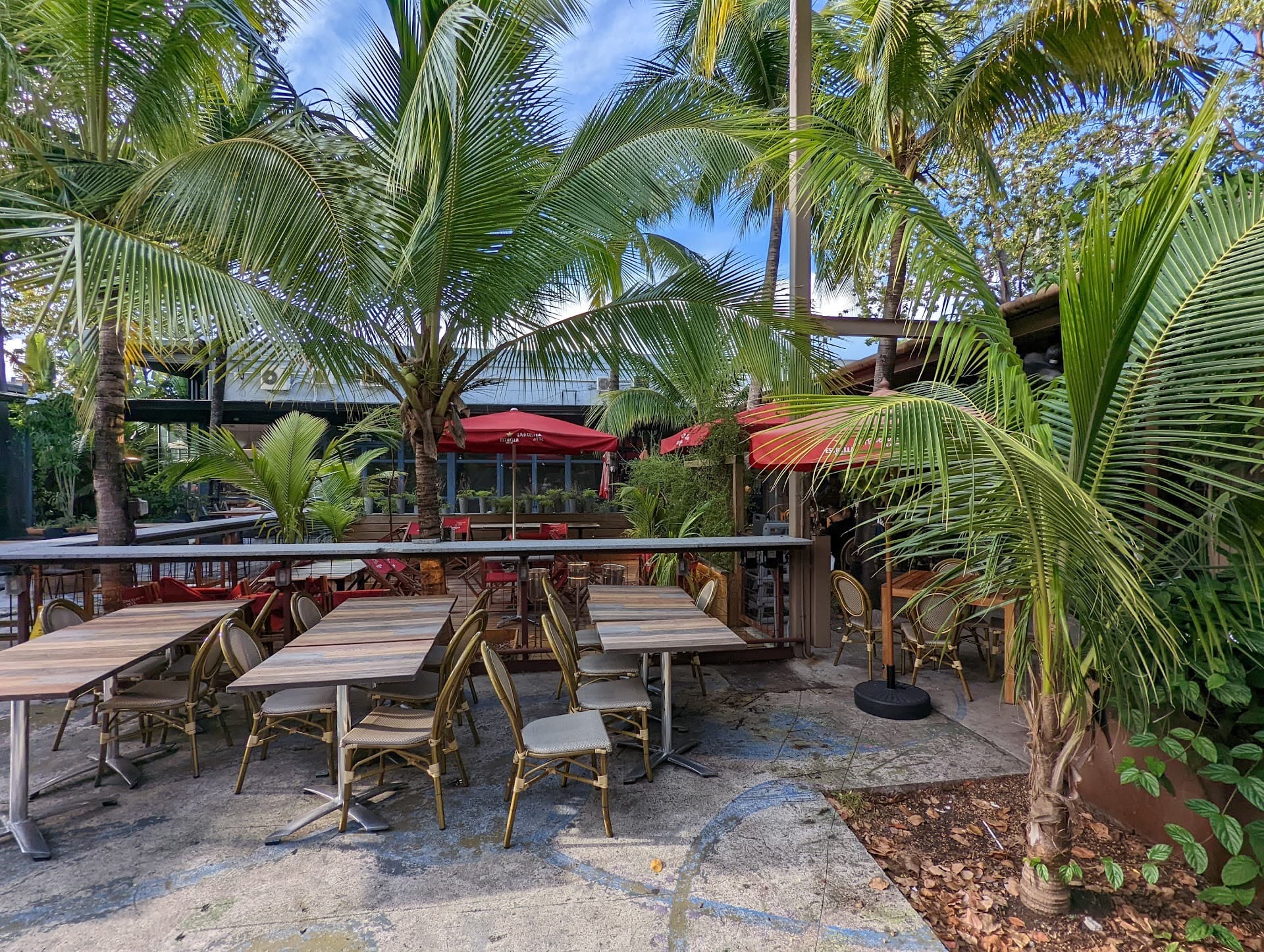Ironside Pizza patio area with palm trees in Miami